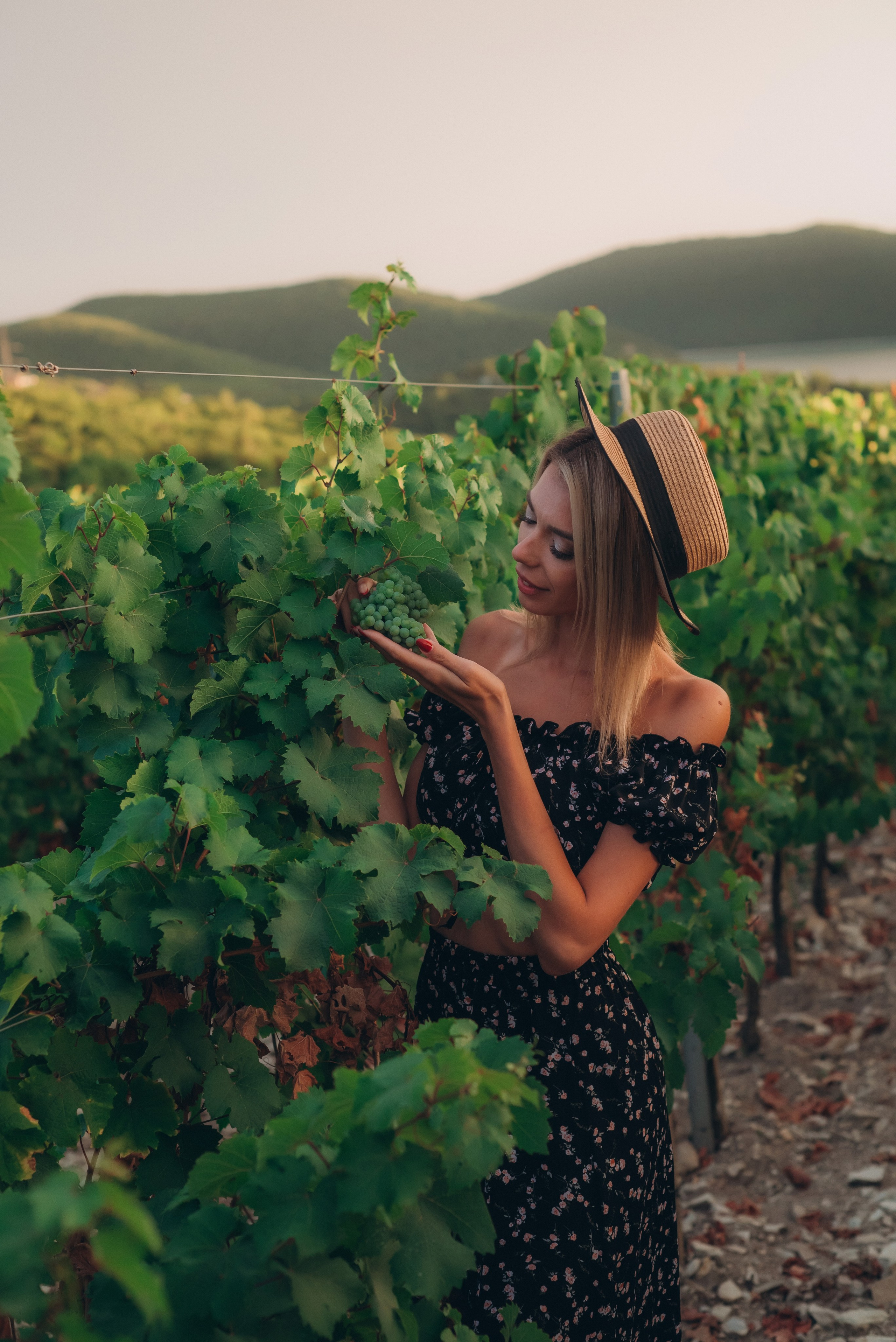 Виноградники. Фотографы Ивановы Краснодарский край