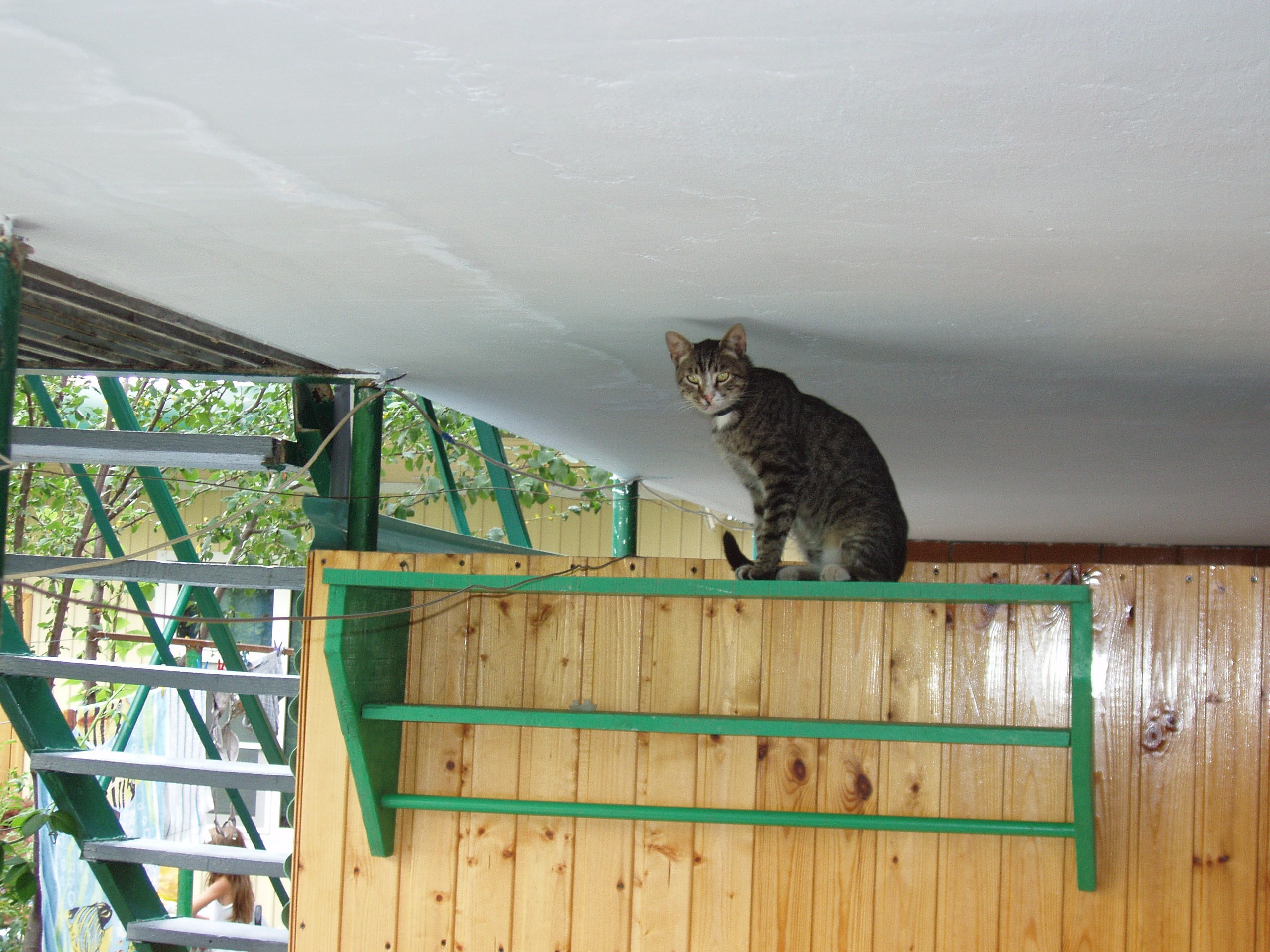 Отпуск 12.06-18.08. Семейный, Свадебный фотограф СПБ Питер— Романова Екатерина