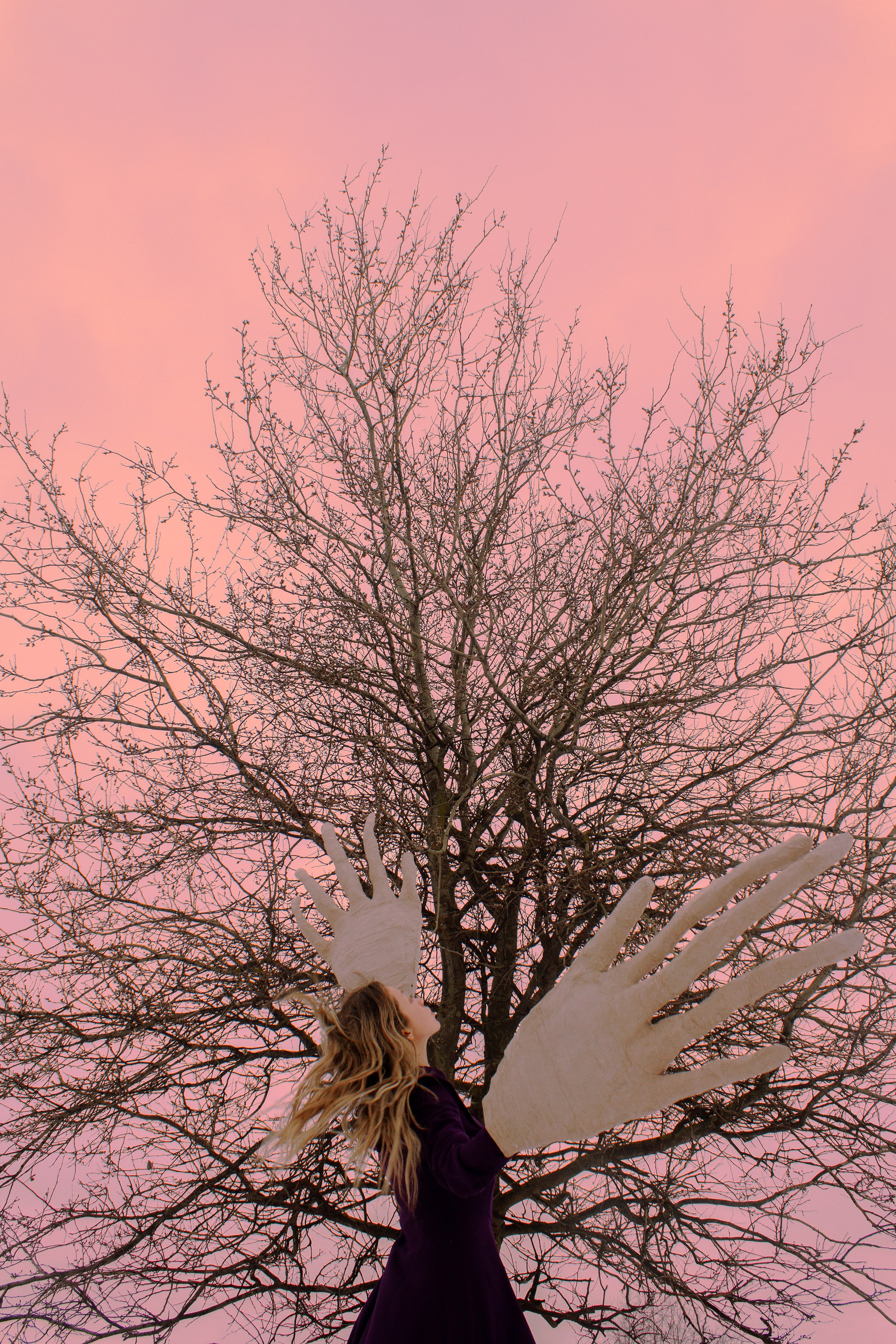 Город на ладони