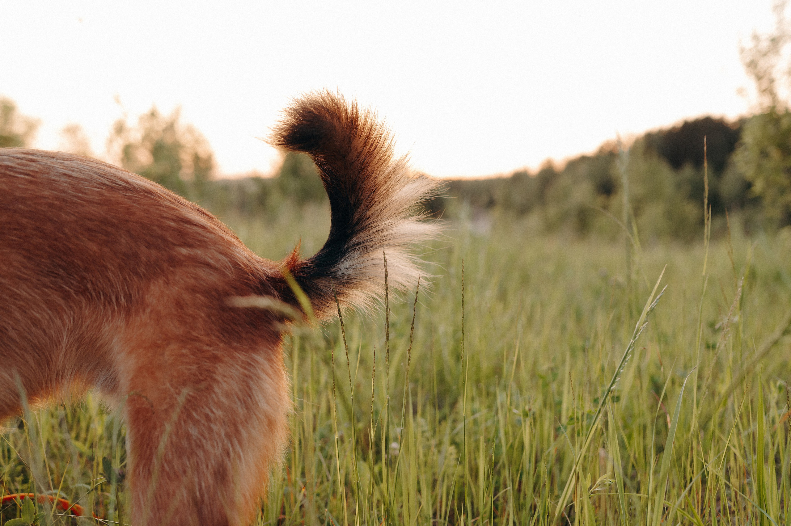 Яна и Санька. Главная