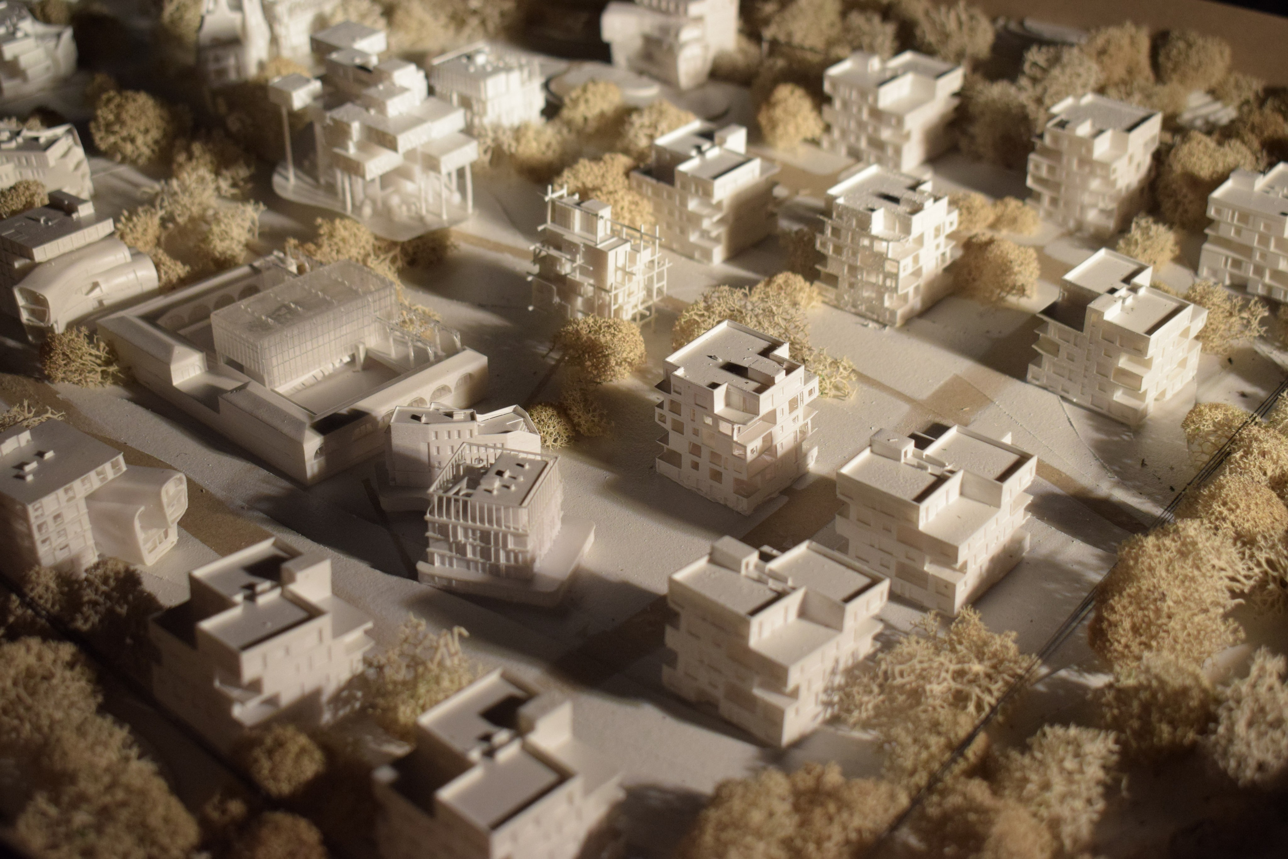 Курсовой макет поселка для студентов МАРХИ часть3. 3D печать