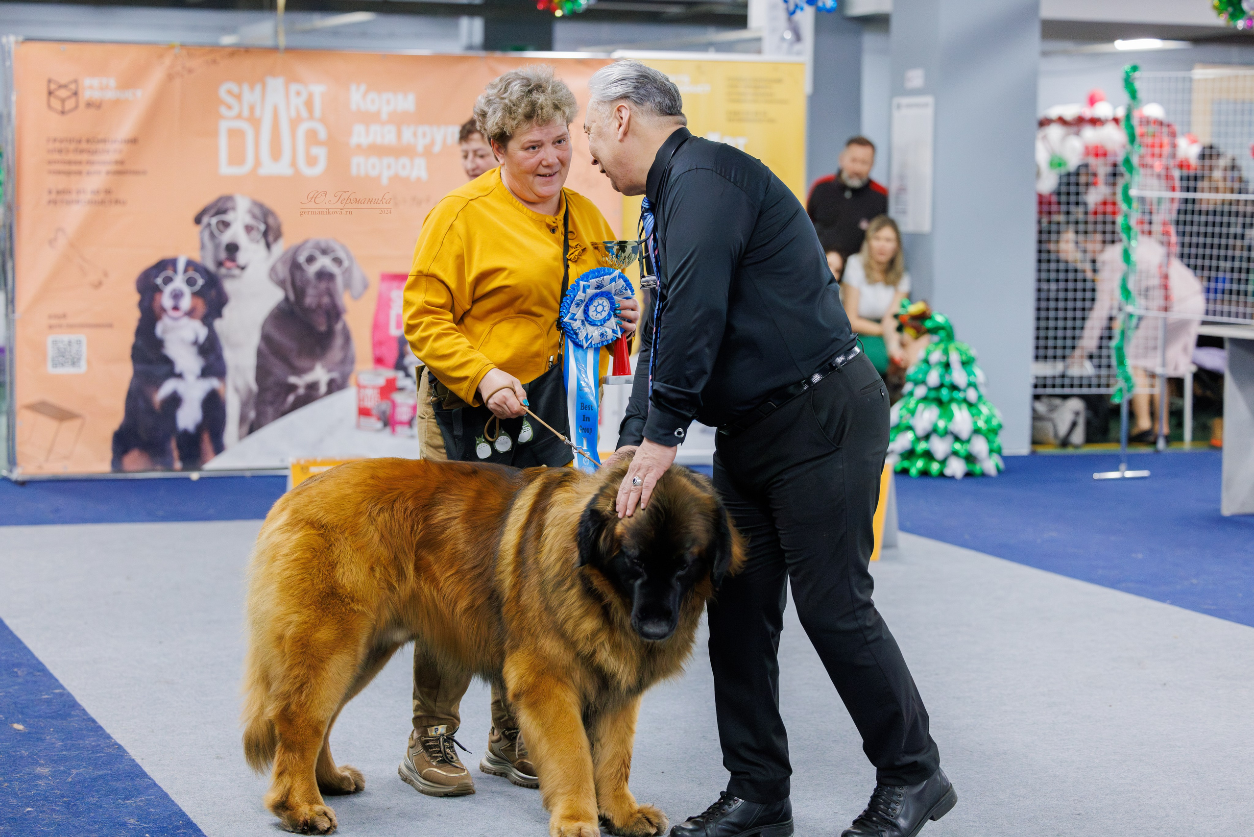 Крокус 21.12.2024,Сфера 29.12.2024. Фотограф-анималист Юлия Германика