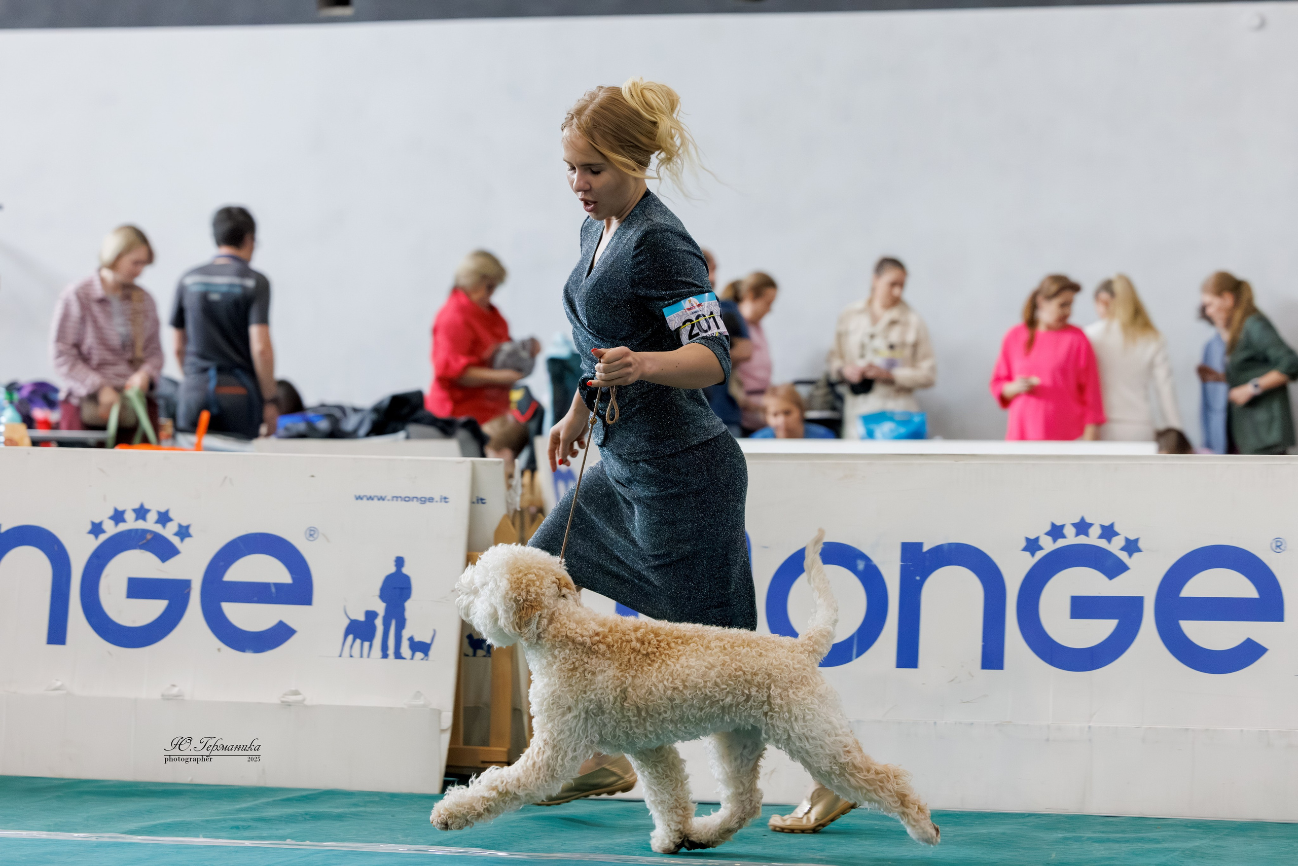 Ереван 2х CACIB 29-30.04.2025. Фотограф-анималист Юлия Германика