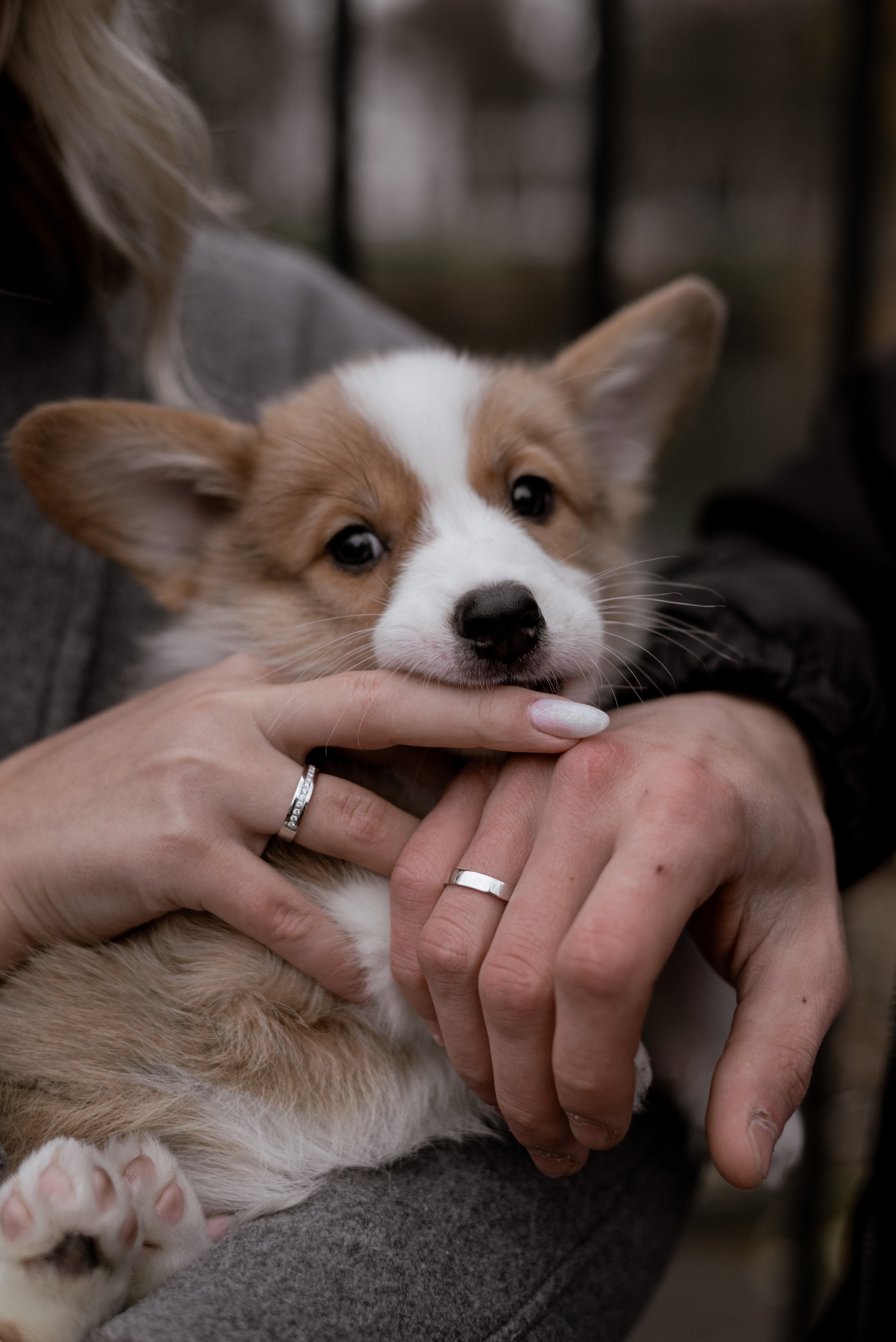 Марина и Евгений. Свадебный и семейный фотограф Юлия Чернобай | Подольск, Москва, Московская область