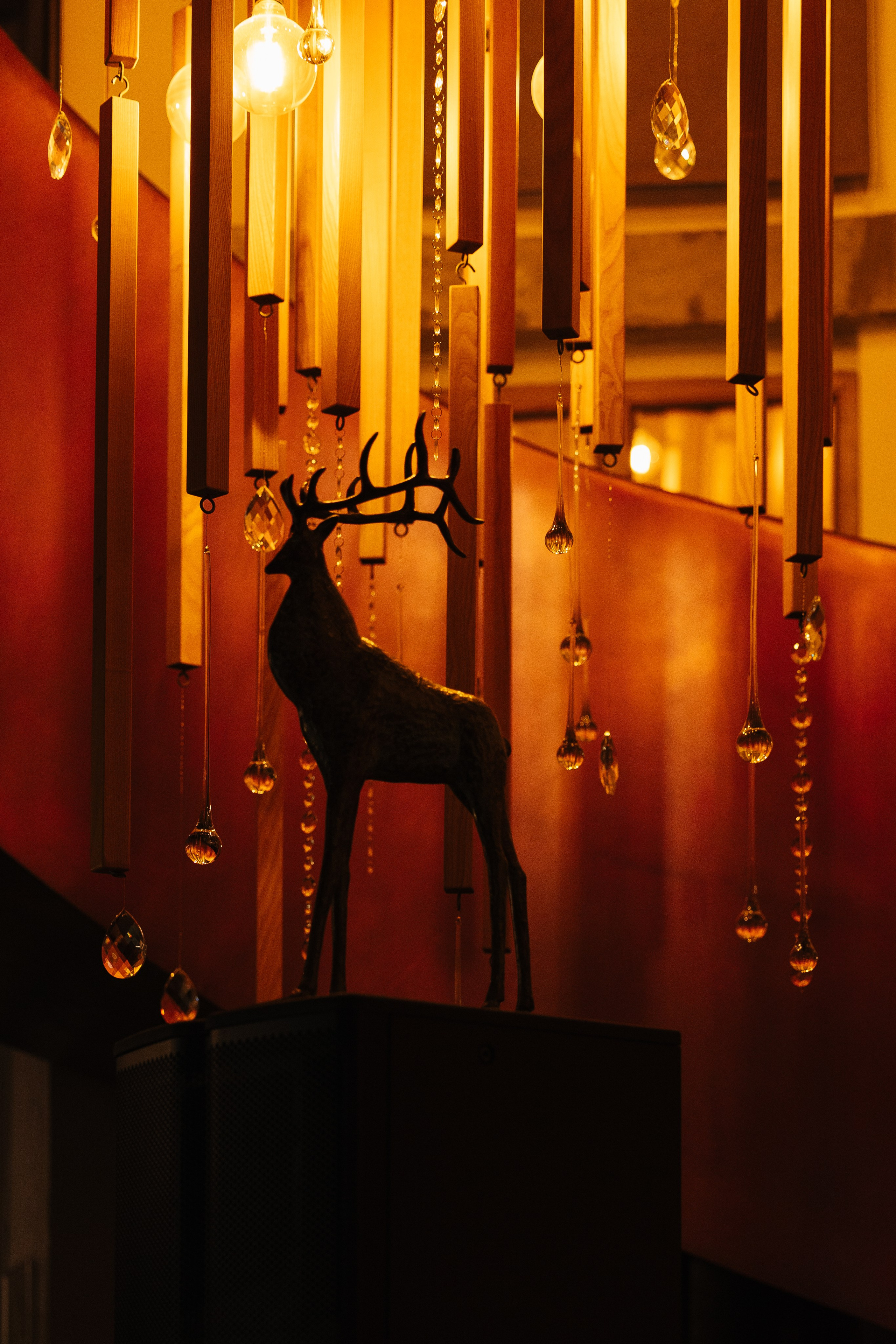 БАРАН РАПАН | РОЖДЕСТВЕНСКИЙ ВЕЧЕР. Фотограф в Сочи Екатерина Потапова