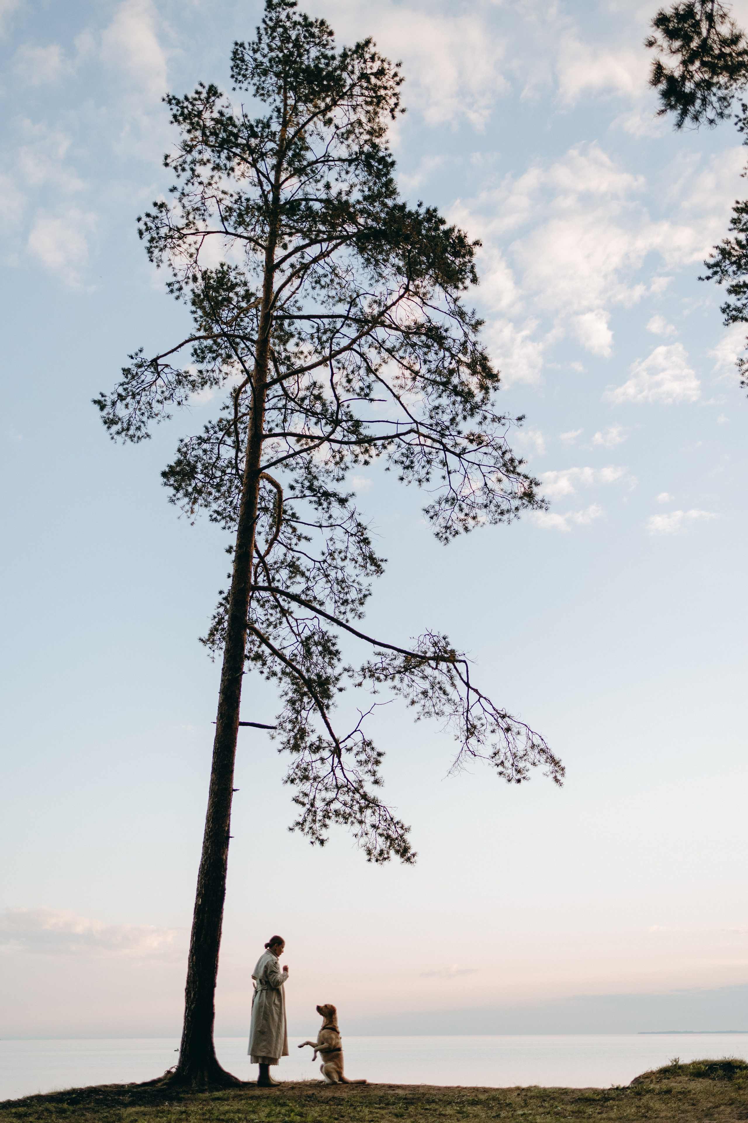 Наташа и Шани. Фотограф — Анималист | Санкт-Петербург