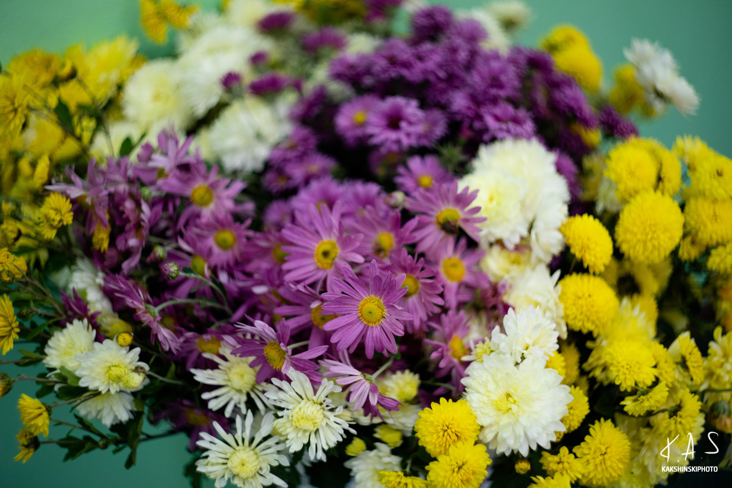 День Рождения. Фотография и видеосъёмка