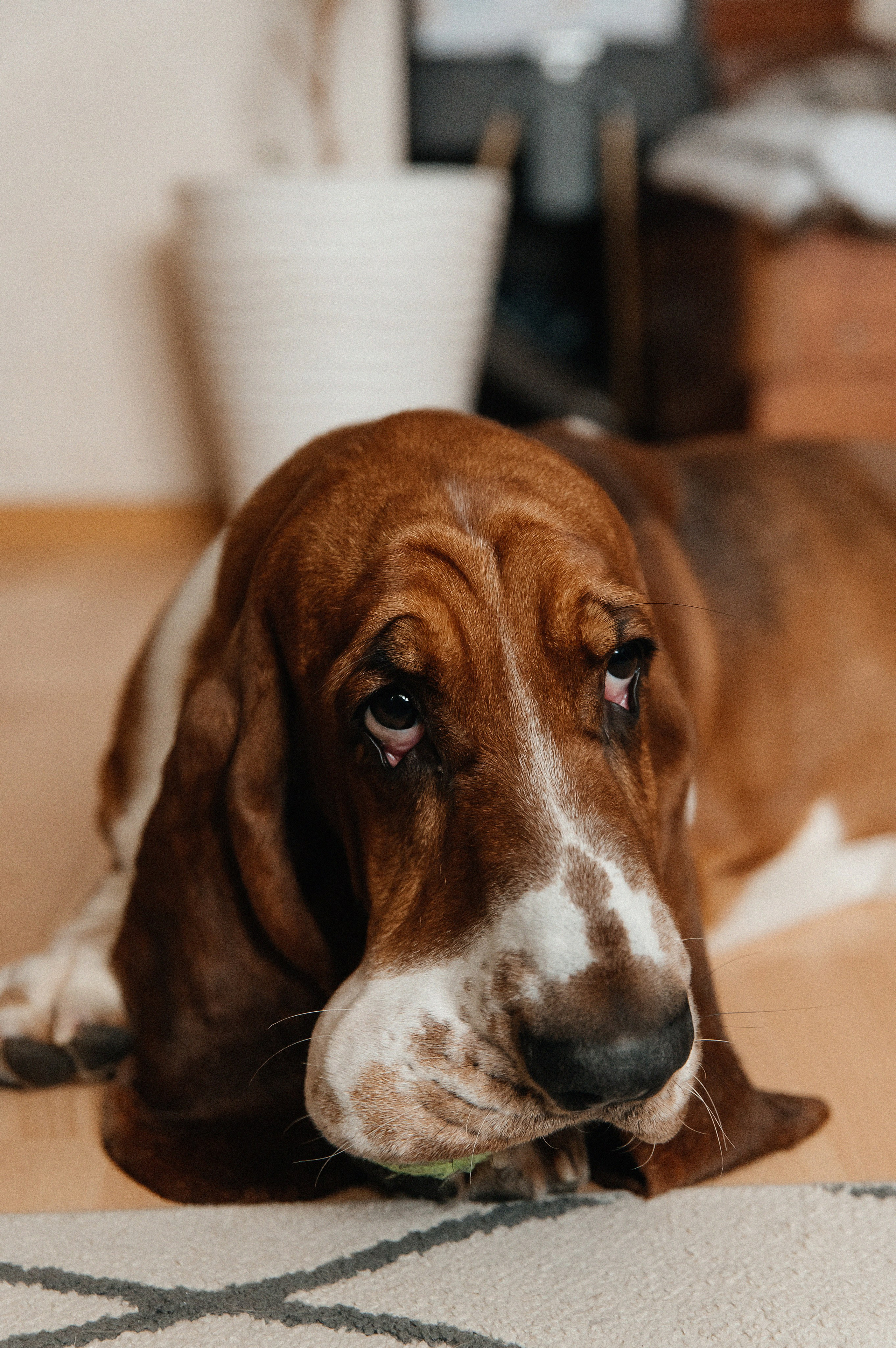 HOME. Мария — Свадебный фотограф