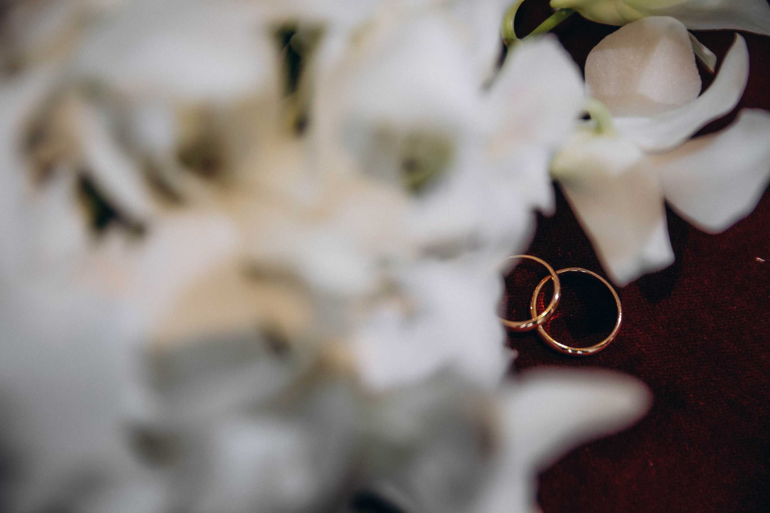 Кирилл и Анастасия. Katerina Schastlivaya