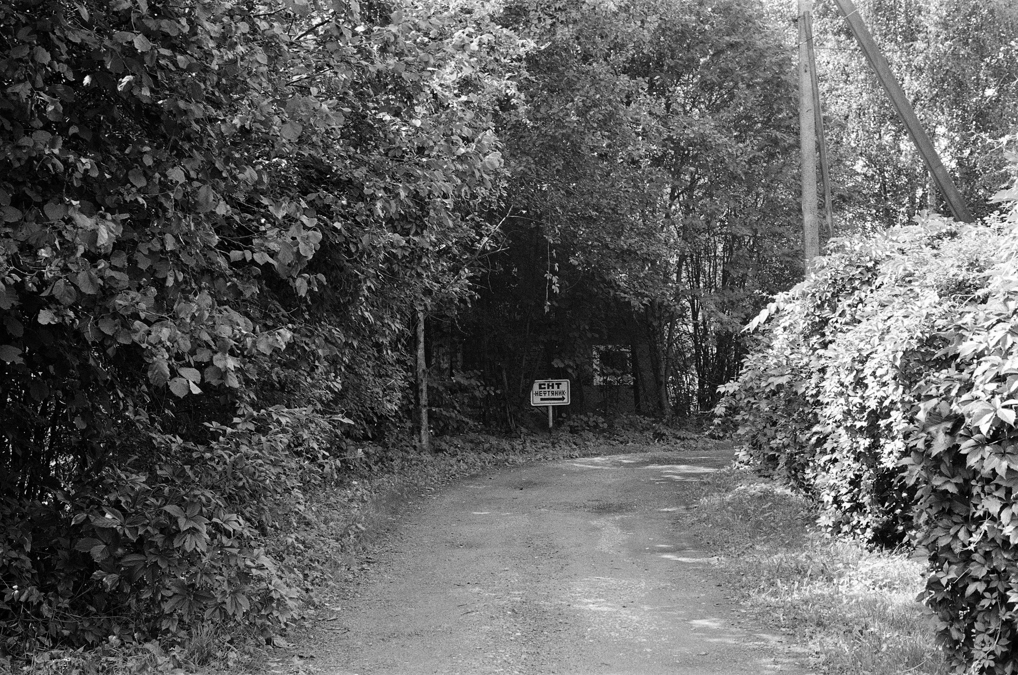 Киржач. Владимирская область. Другой Павел Поцелуев. Фотограф в 2025 году