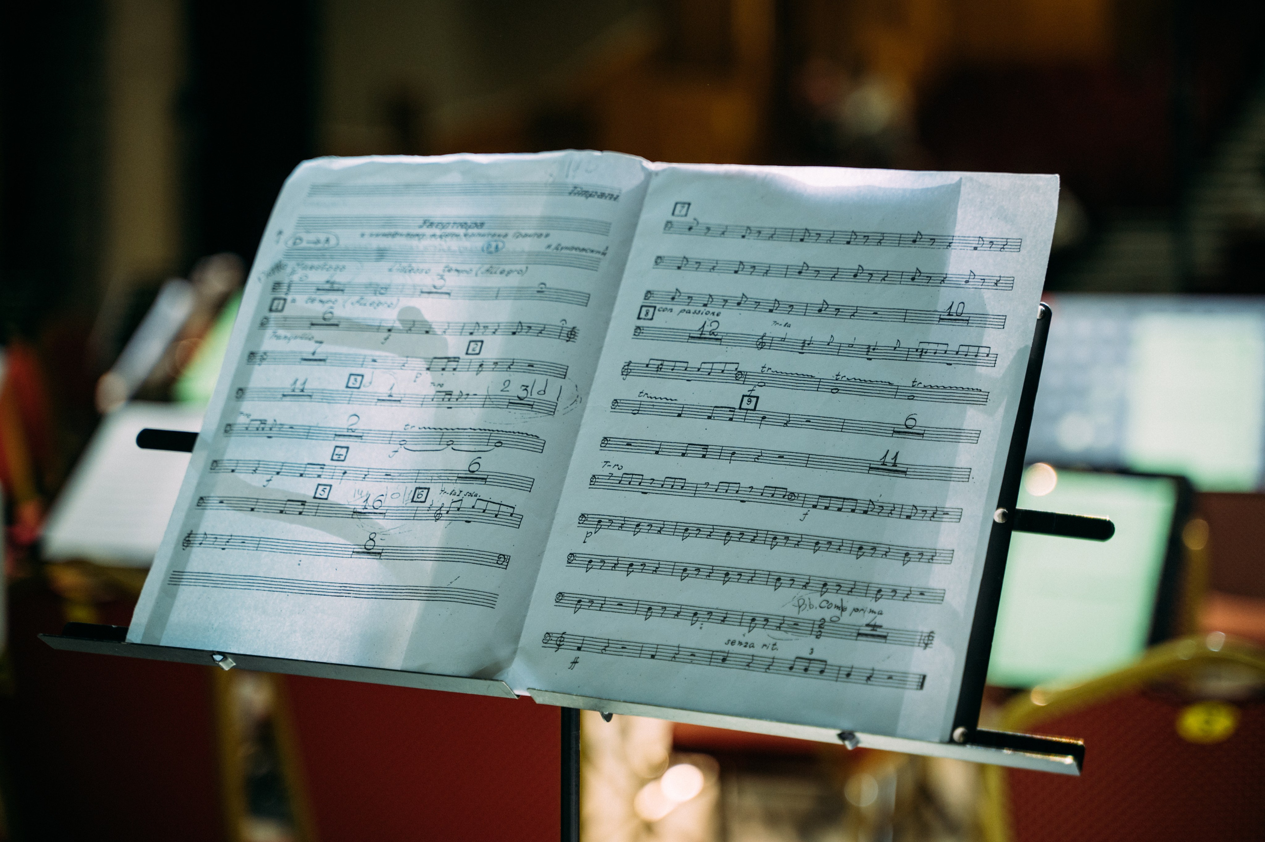 Симфонический оркестр. Фотограф в Волгограде Марина Черных