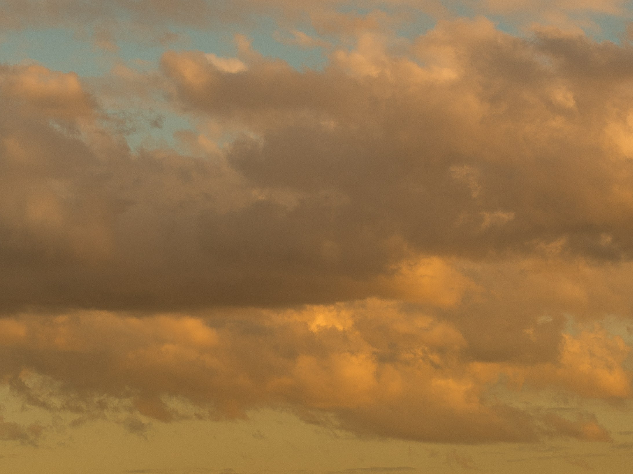Свадебный фотограф Москва. Истории любви и семейные съёмки. ФОТОГРАФ Любовь Скок. Москва