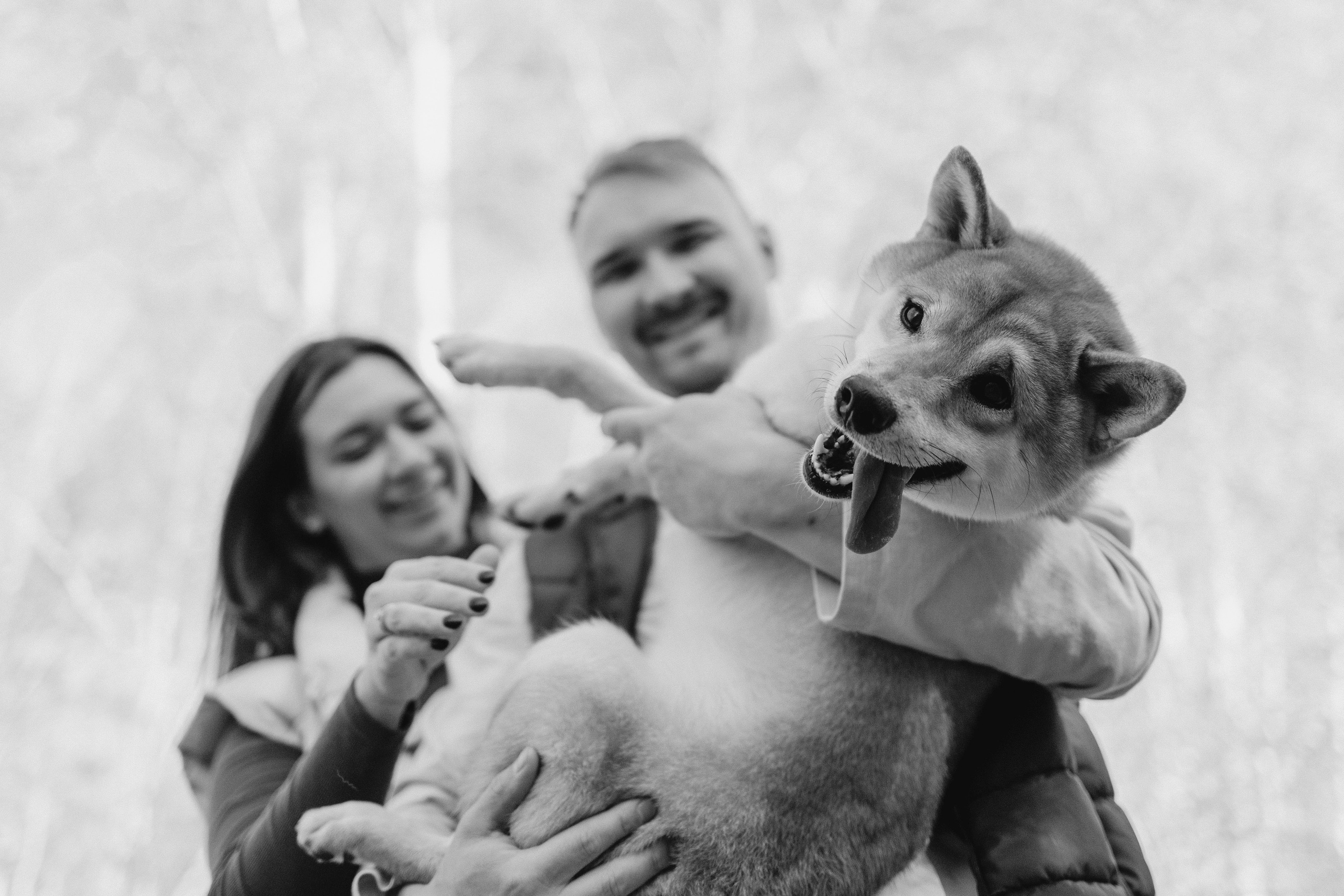 Алексей и Анастасия. Свадебный и портретный фотограф Тюмень