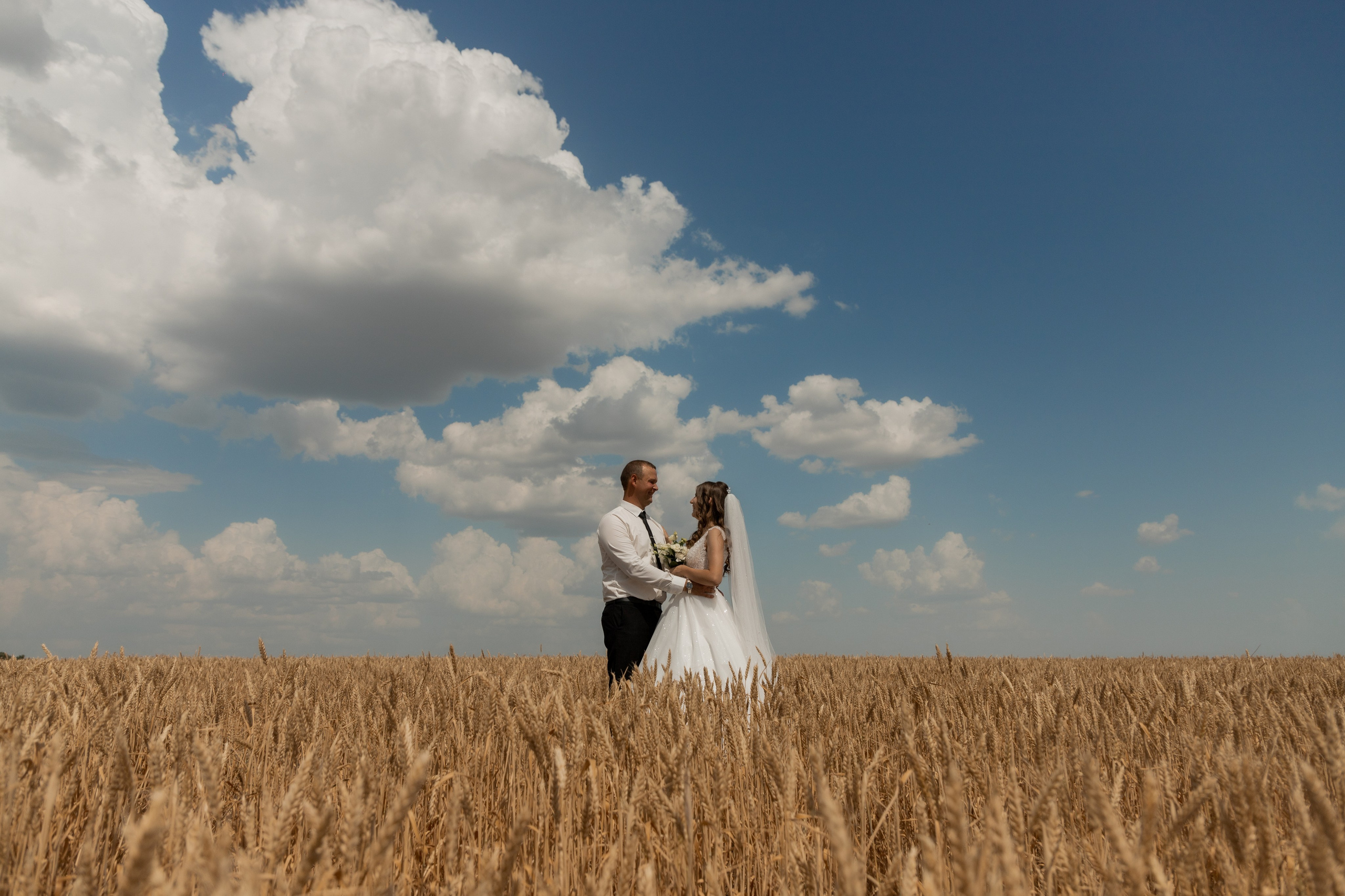 Алексей и Светлана (сокращено). Свадебный фотограф Ангелина Сунгатулина | Саратов | Балаково | Вольск
