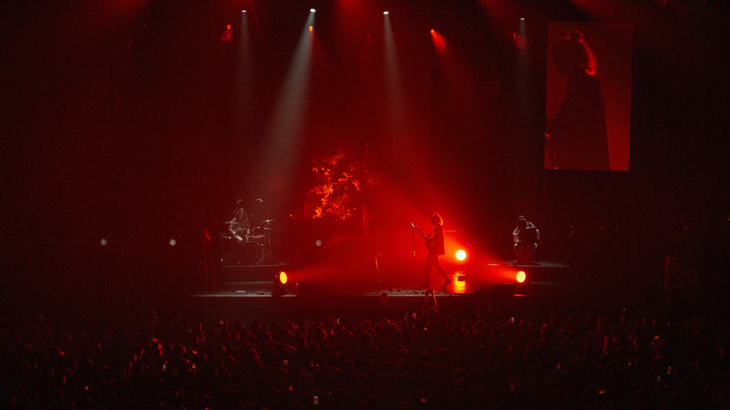 Концерт группы Лампабикт Москва 2025. Портретный фотограф Юлия Проценко Москва|Балашиха