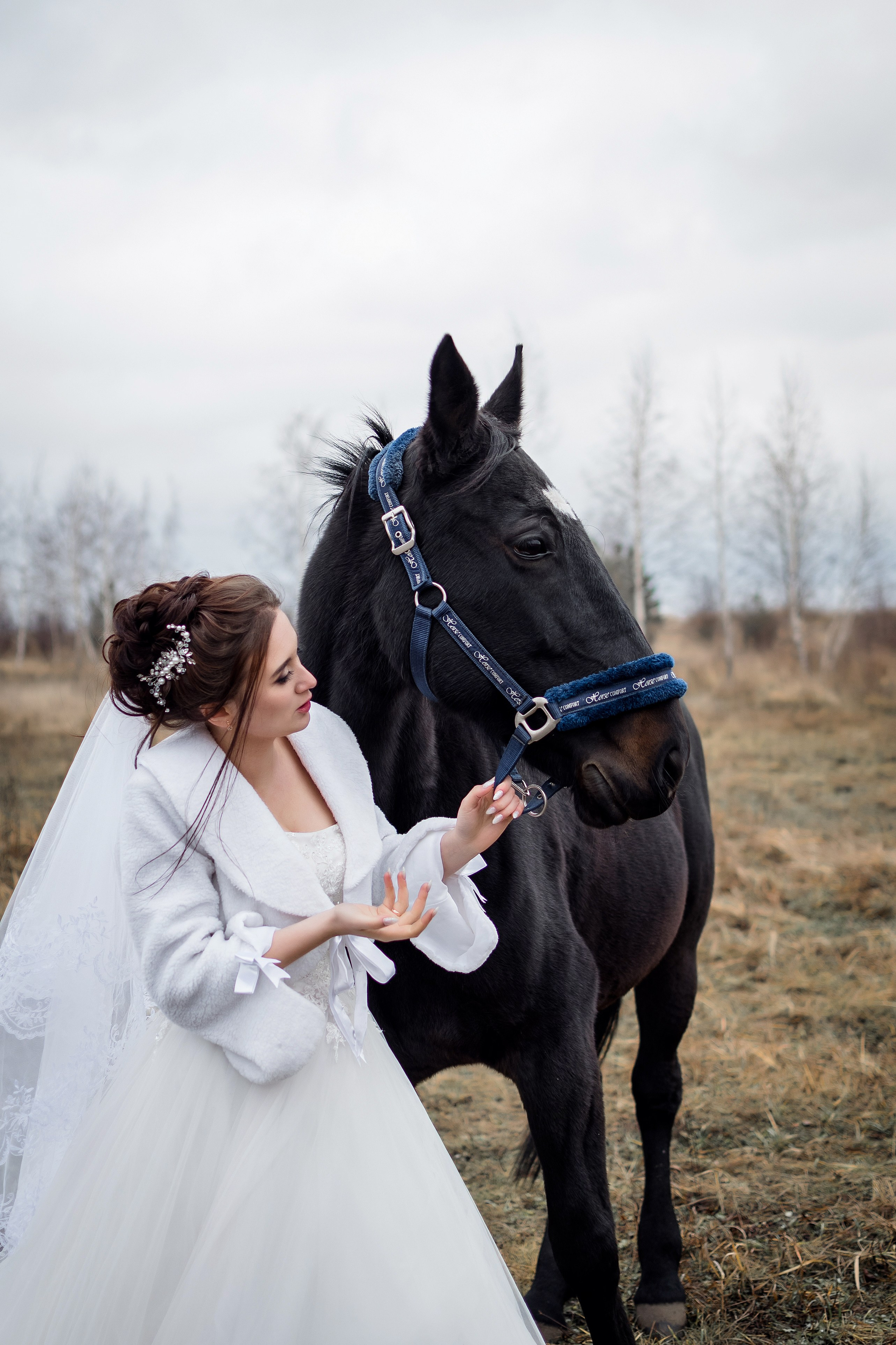 Вика и Илья. Бжицких Виталий — фотограф г. Ульяновск