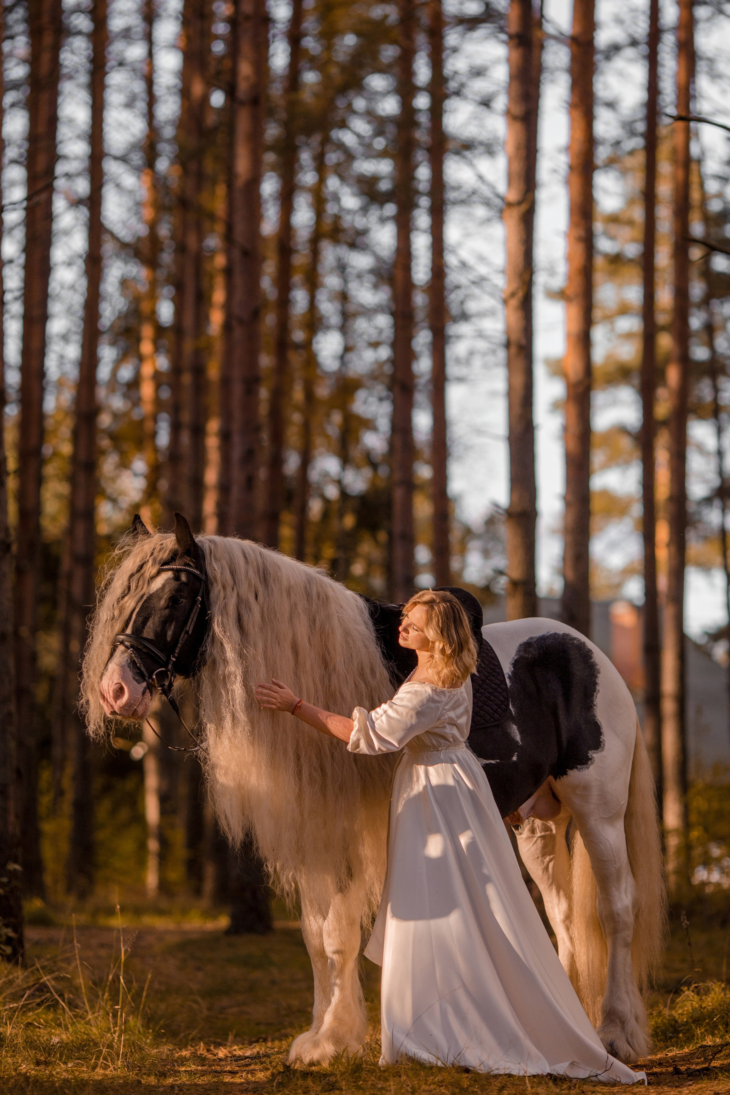 Фотосессия в сосновом бору 