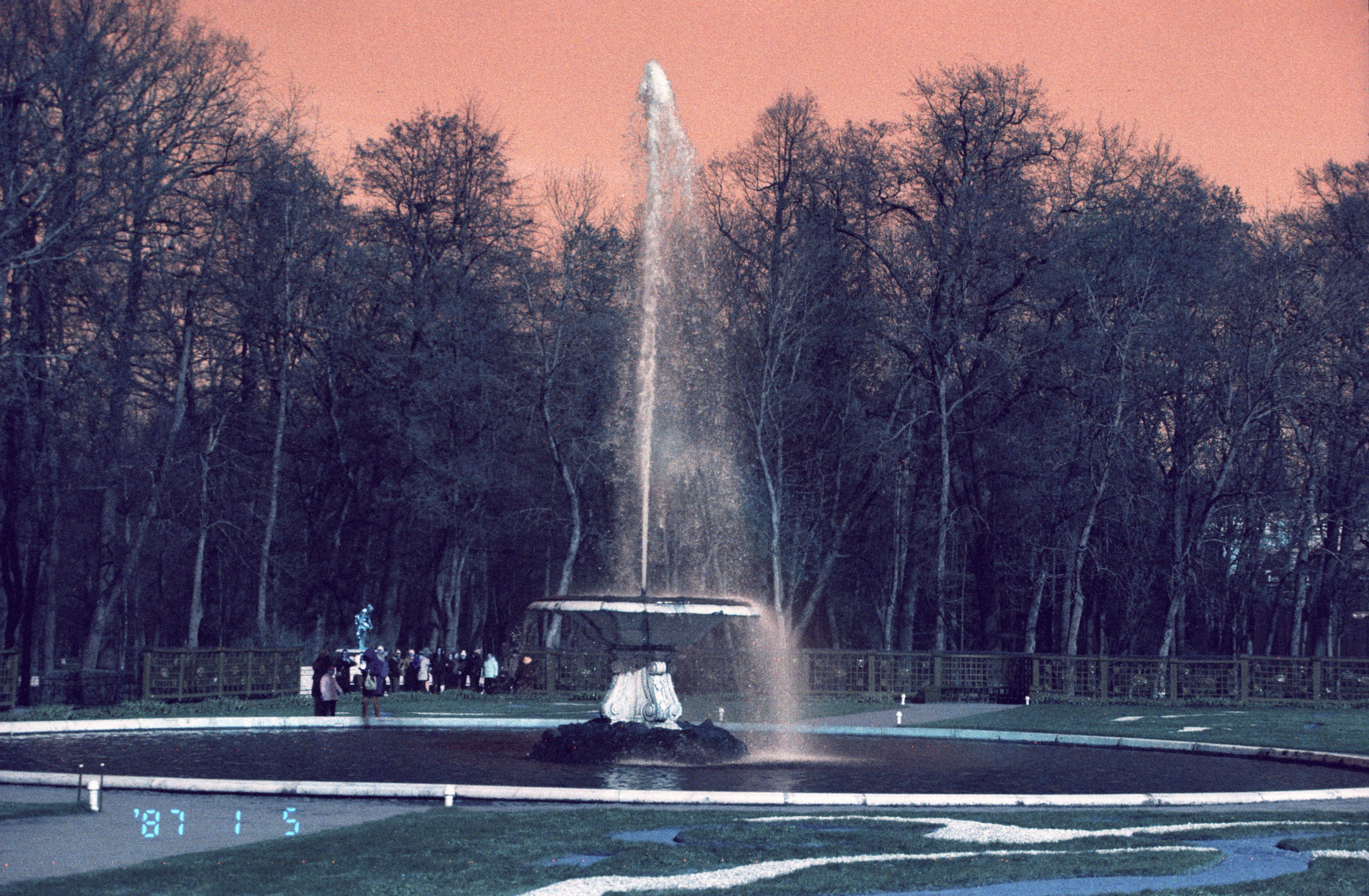 Двор. Фотограф в Санкт-Петербурге Березовский Даниил