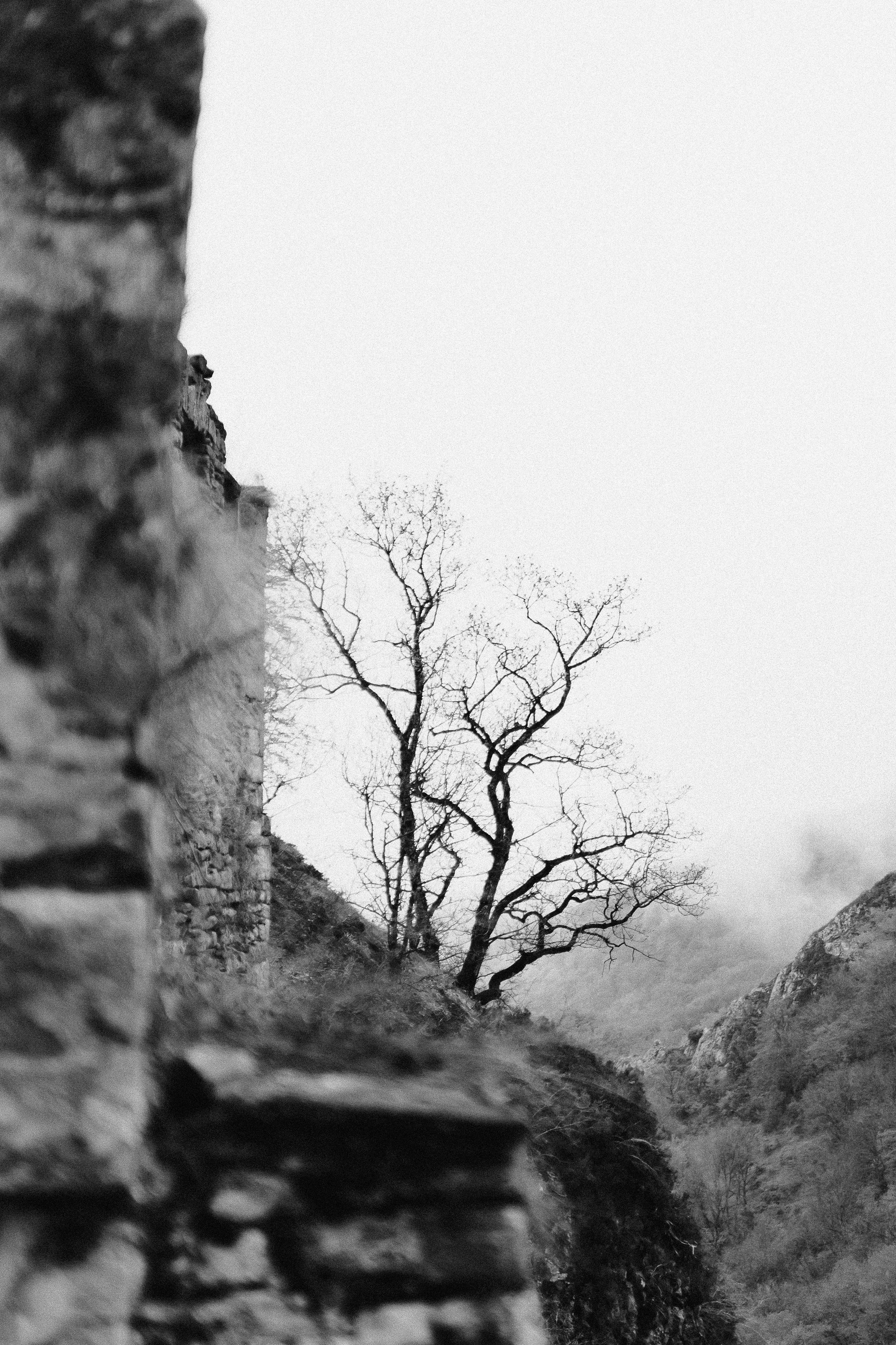 Кавказ. Фотограф Санкт-Петербург Макарова Дарья