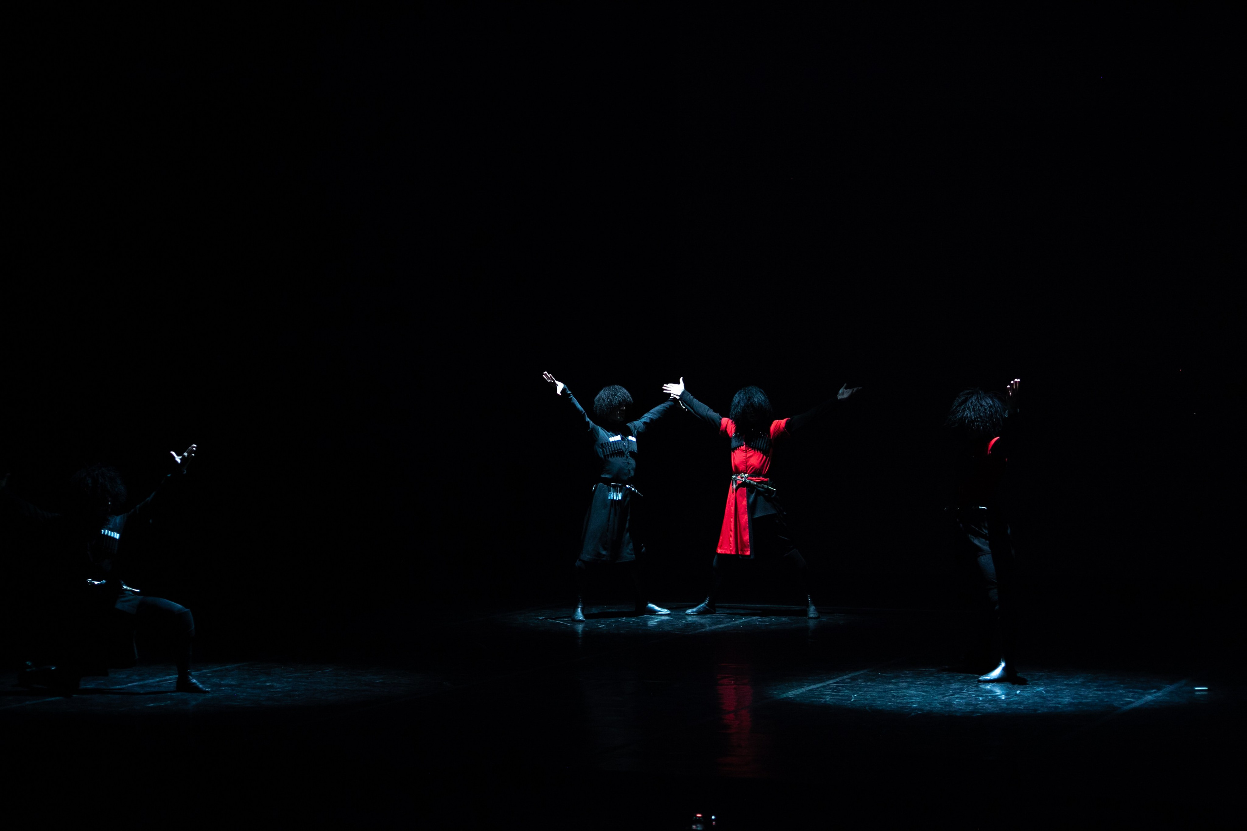 Концерт, грузинские танцы. Art photographer Nino