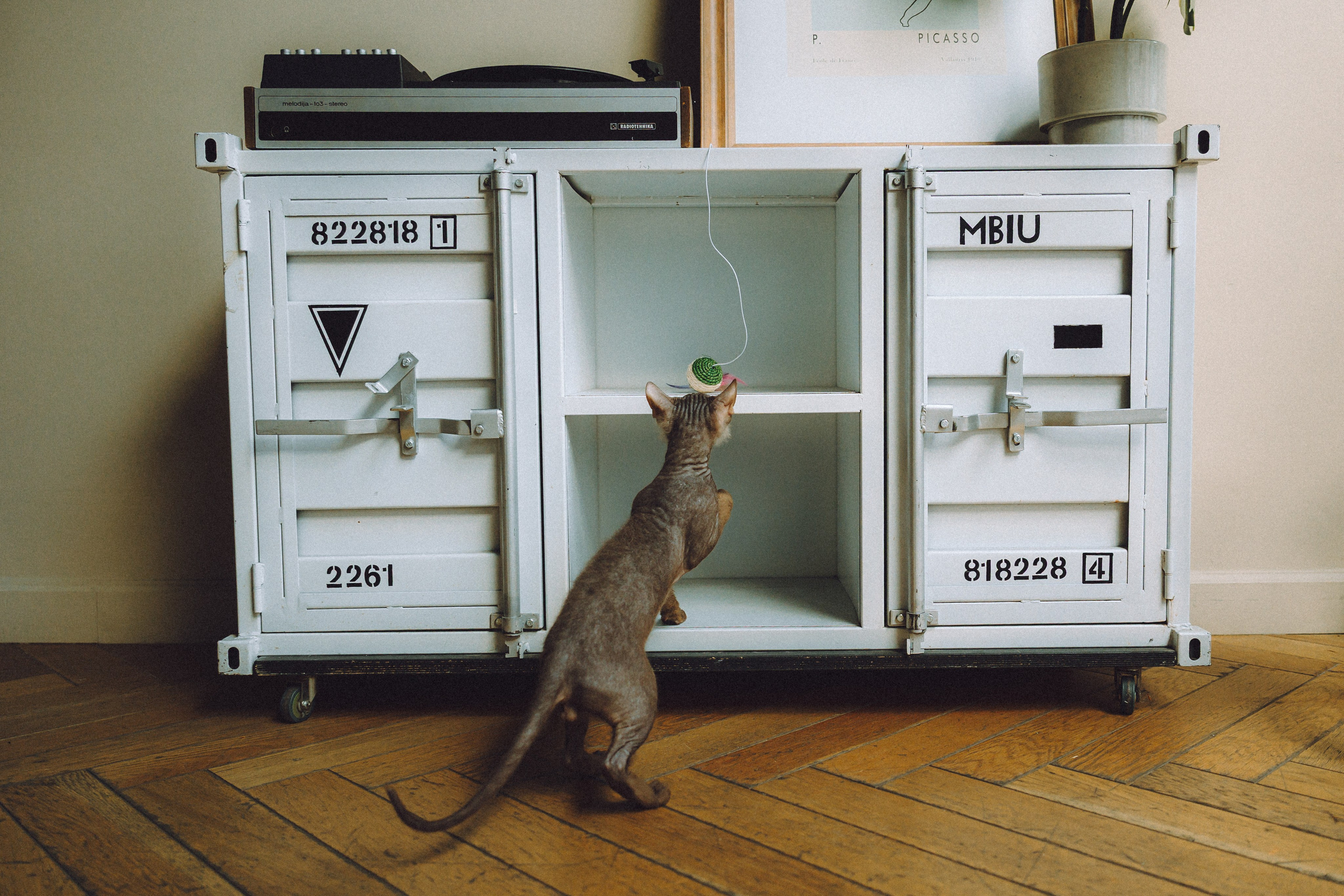 Кокос, Света, Динара и Вилли