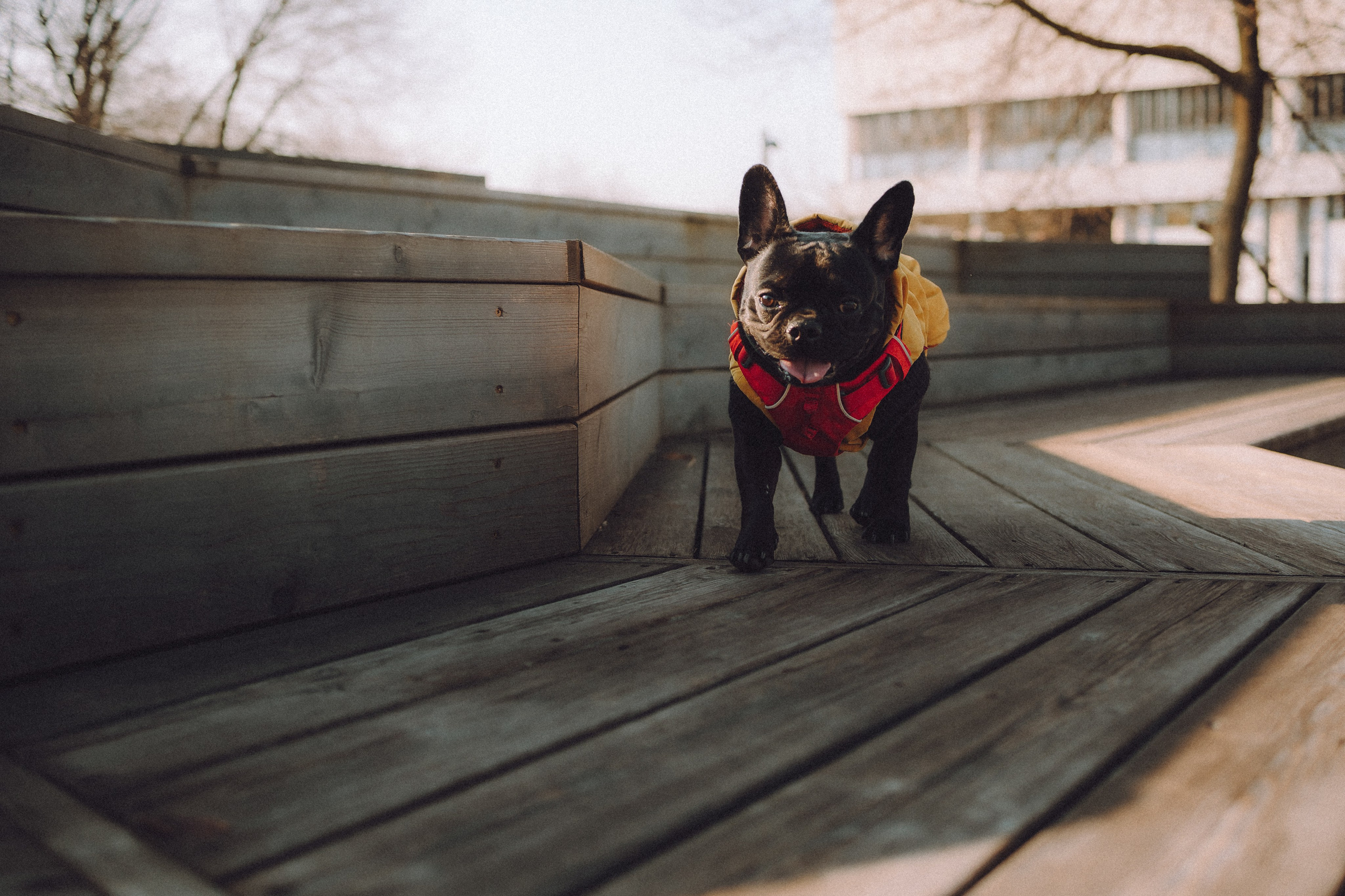 Саша, Дима и Шпуля