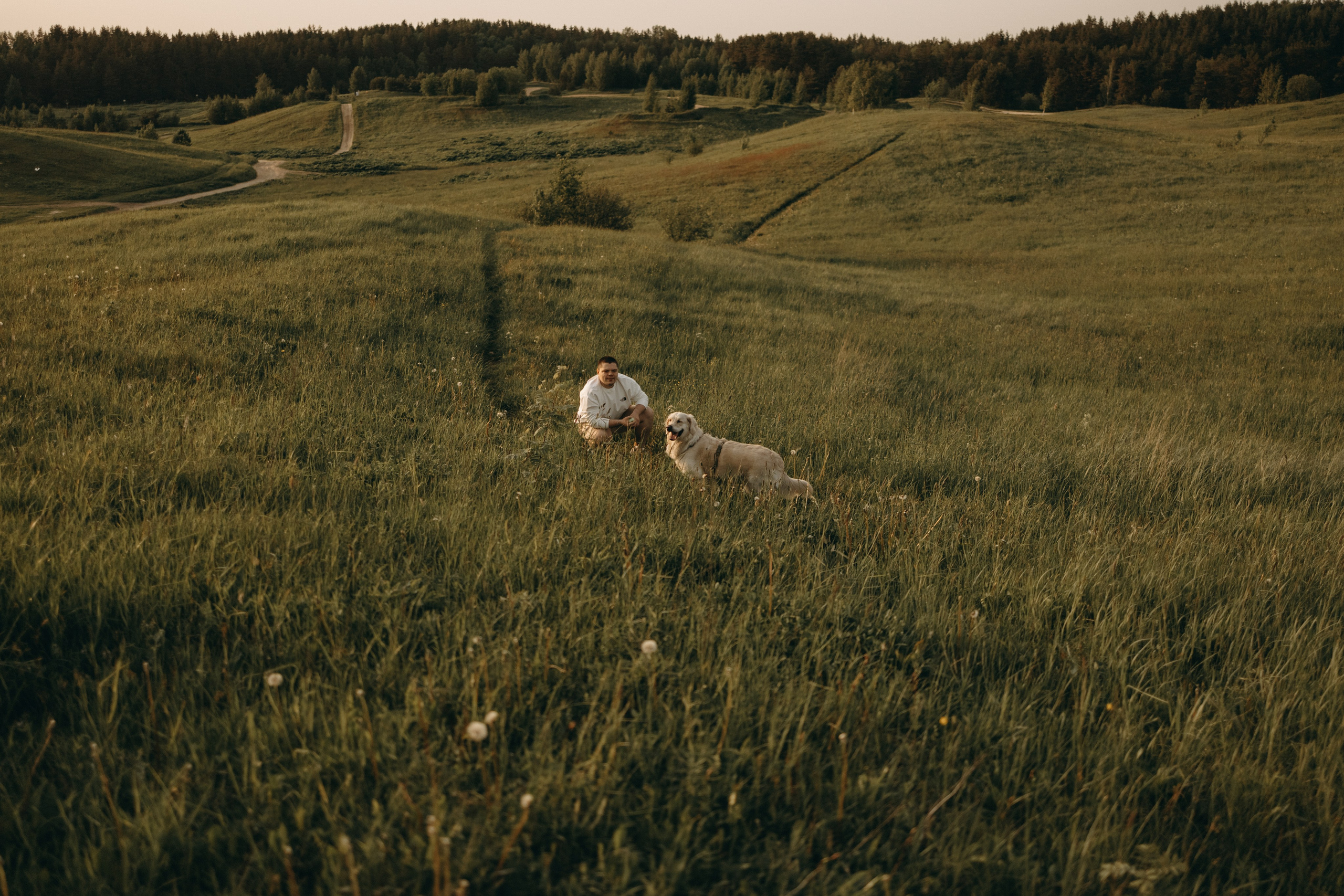Милка и ребята. Фотограф — Анималист | Санкт-Петербург
