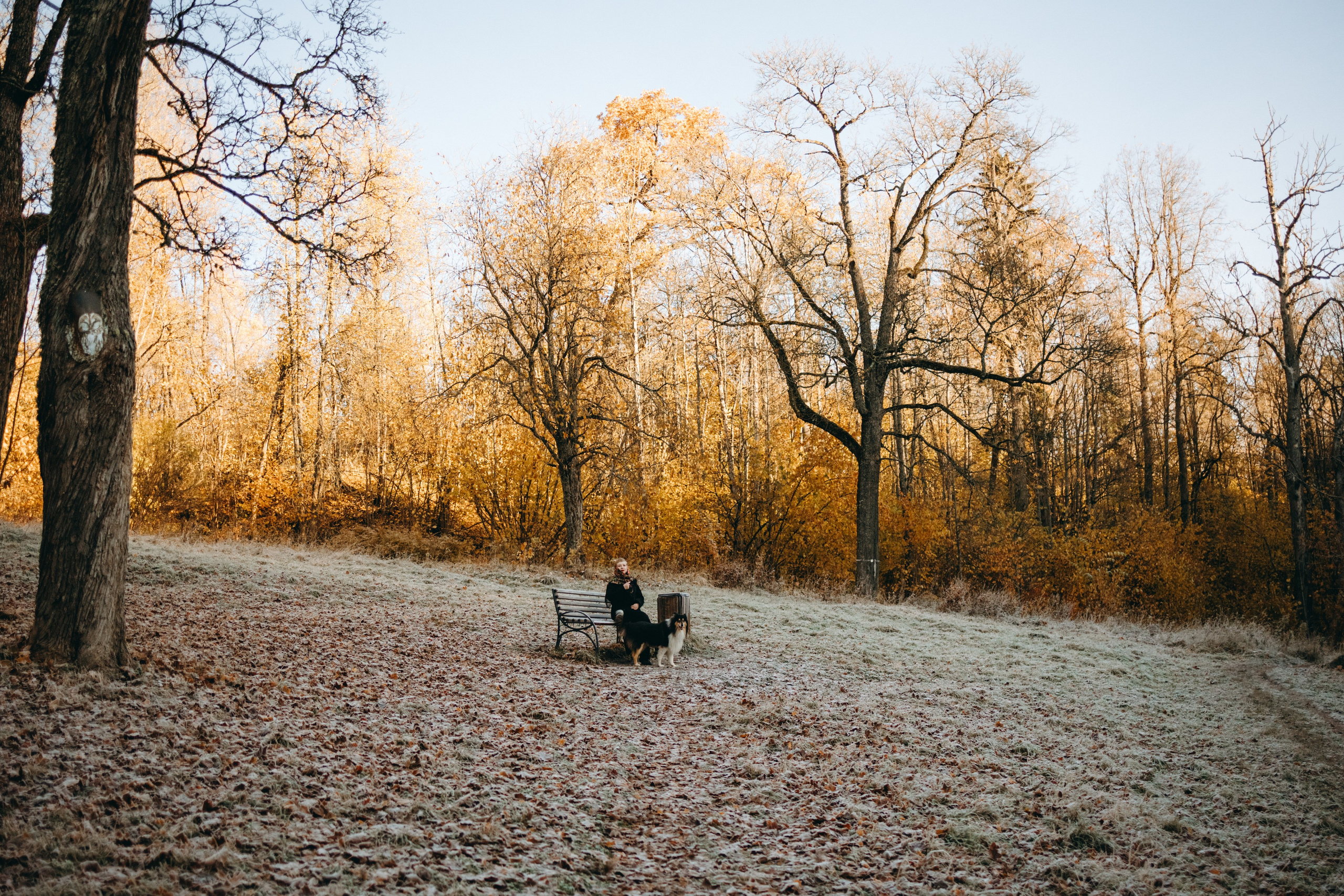 Ия и Барт. Фотограф — Анималист | Санкт-Петербург