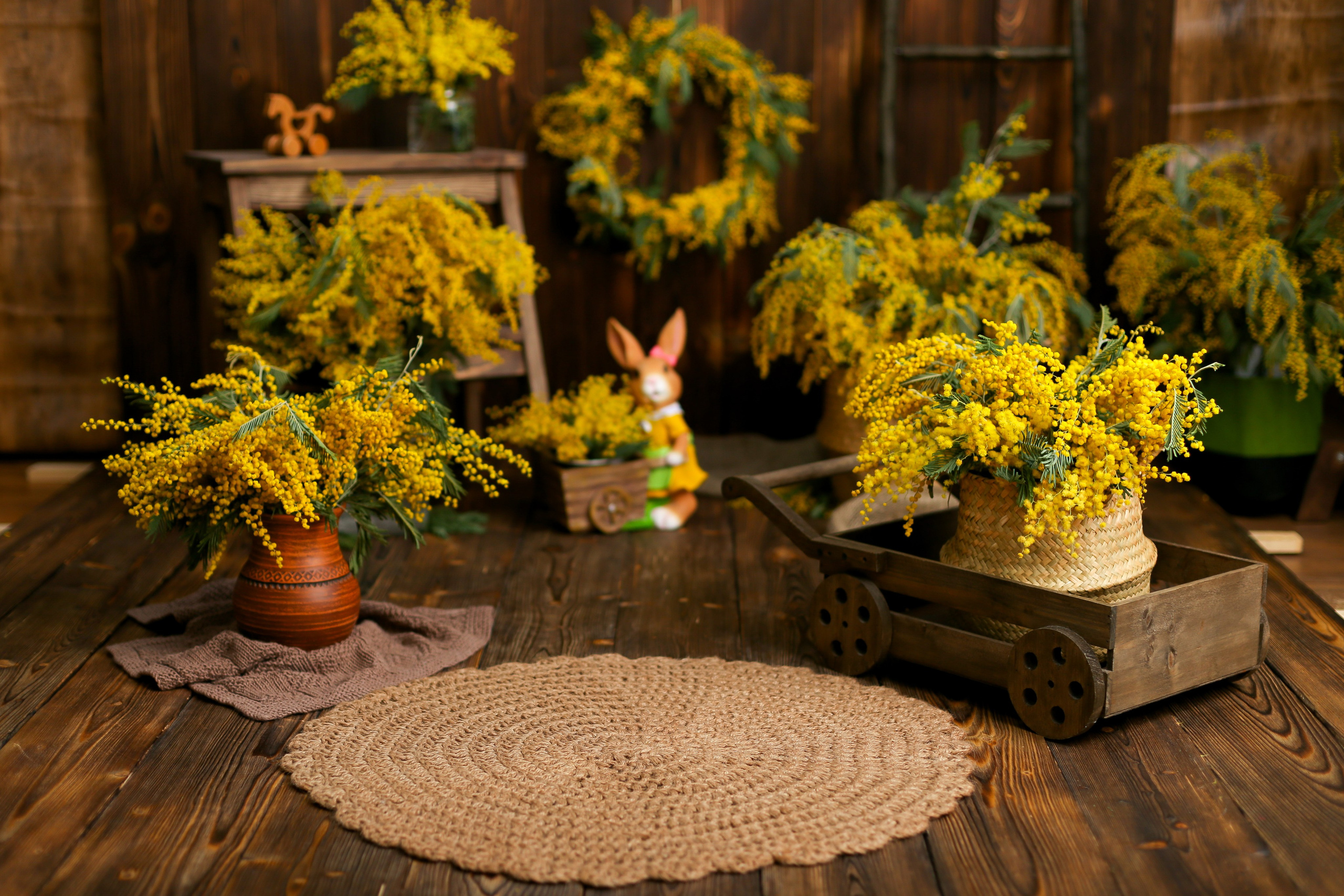 Фотозоны на Ваш выбор. Детская фотостудия в Санкт-Петербурге