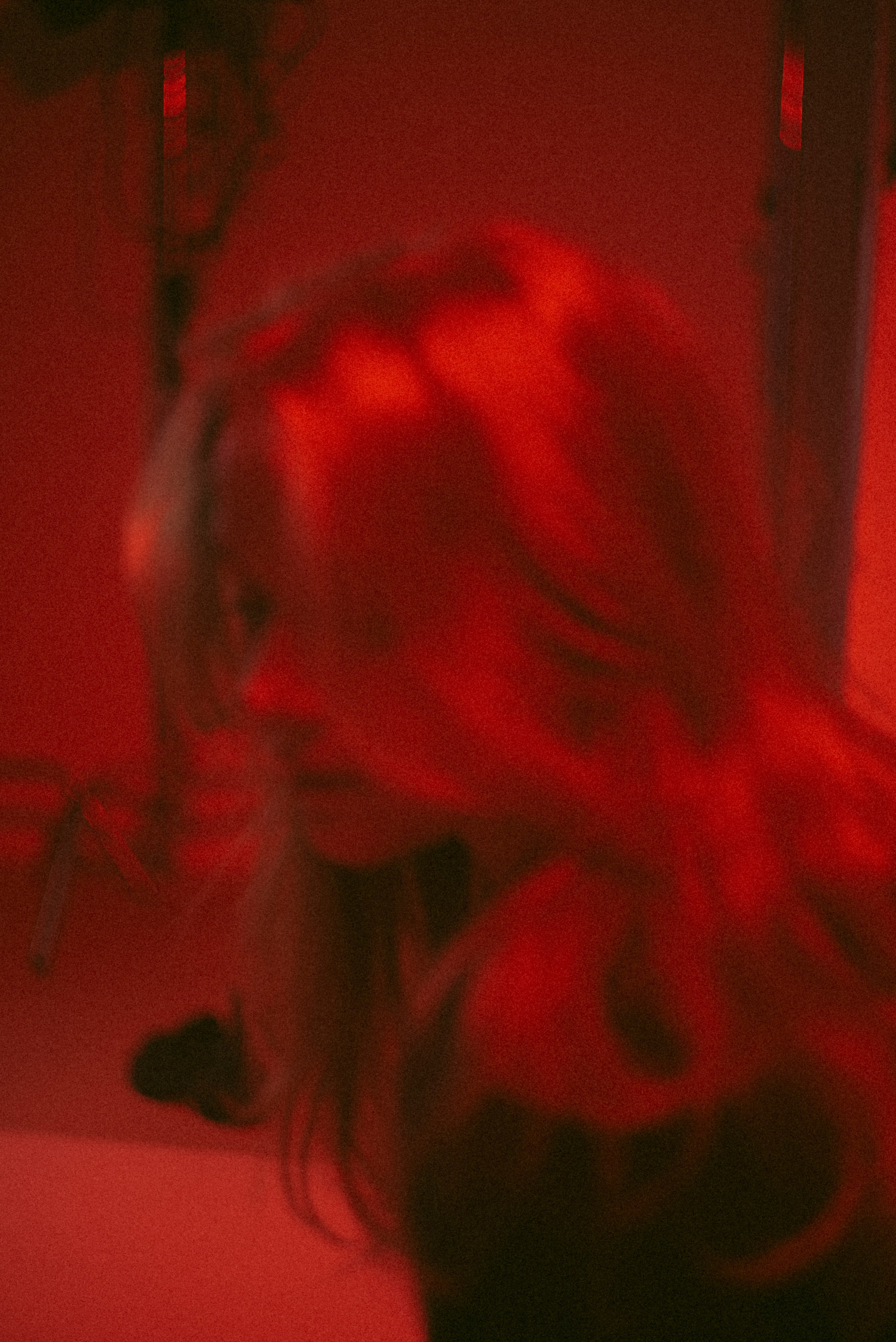 What people say. Katya Che | Photographer | Beograd