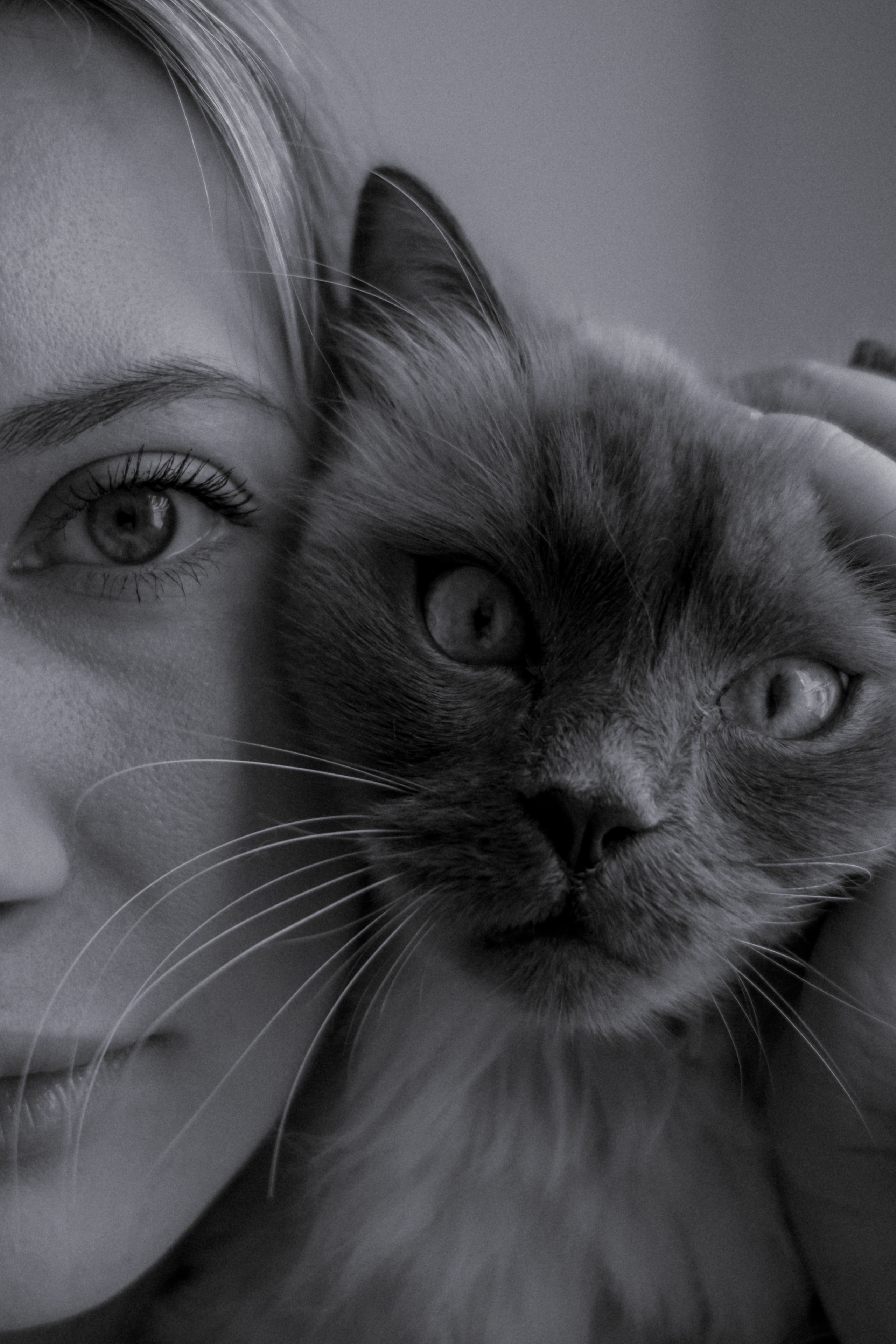 Домашняя с котиком). Фотограф в Москве (готова приехать к вам в город)