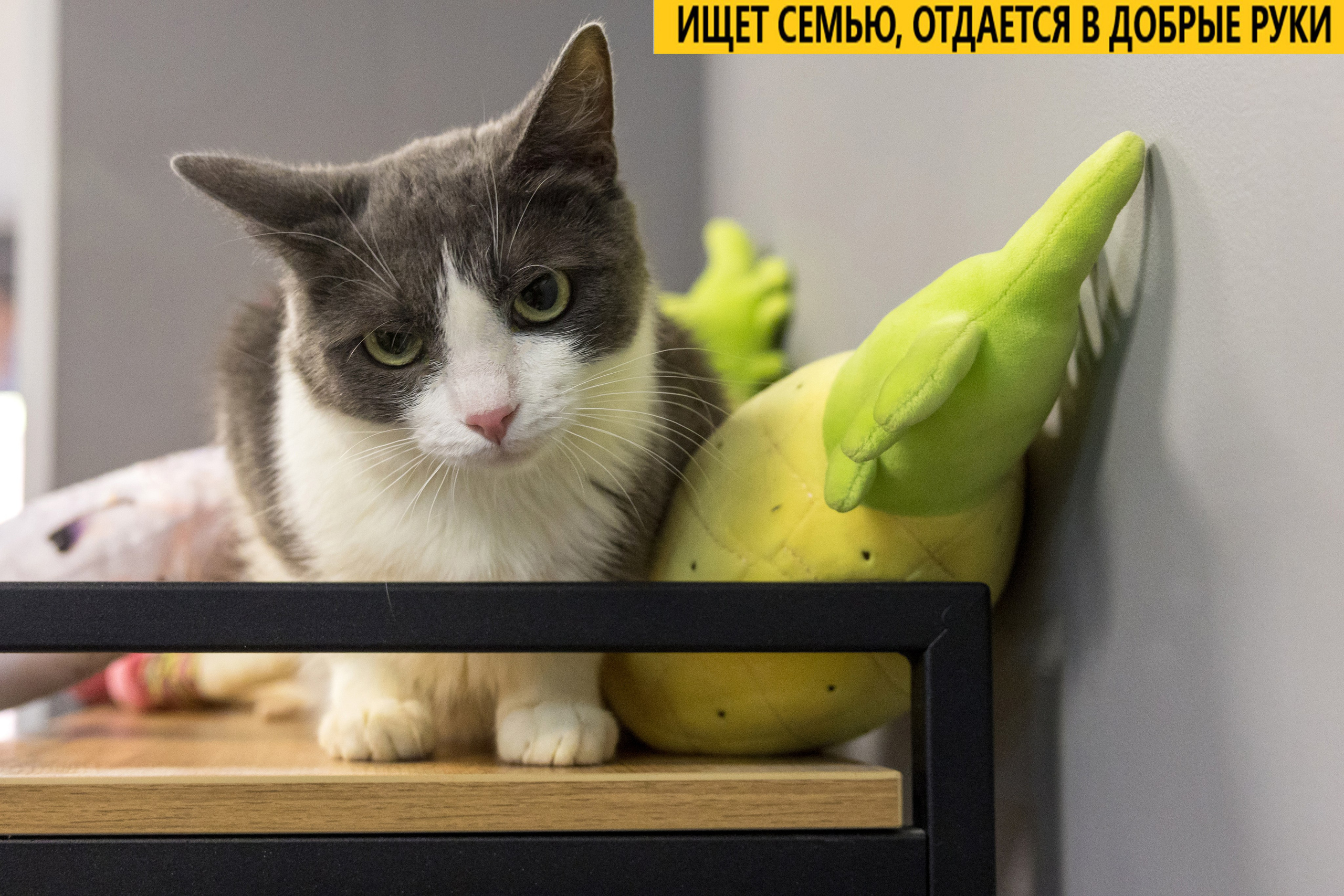 Рекламная съемка в Москве. Геннадий Степанов —фотограф в Москве