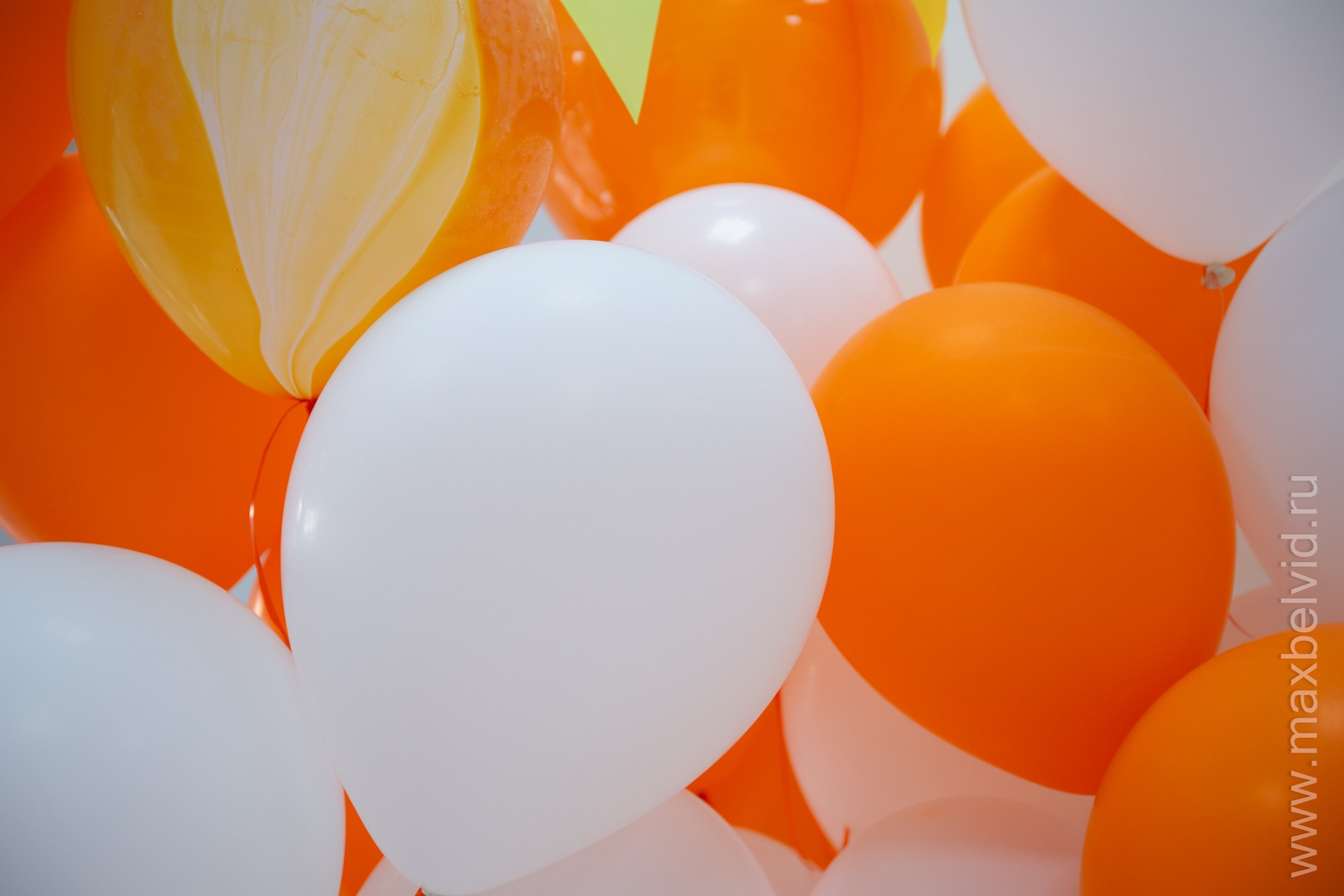 День открытых дверей в «Сердце Знаний» школа скоростного интеллекта. Студия Максима Белослюдцева