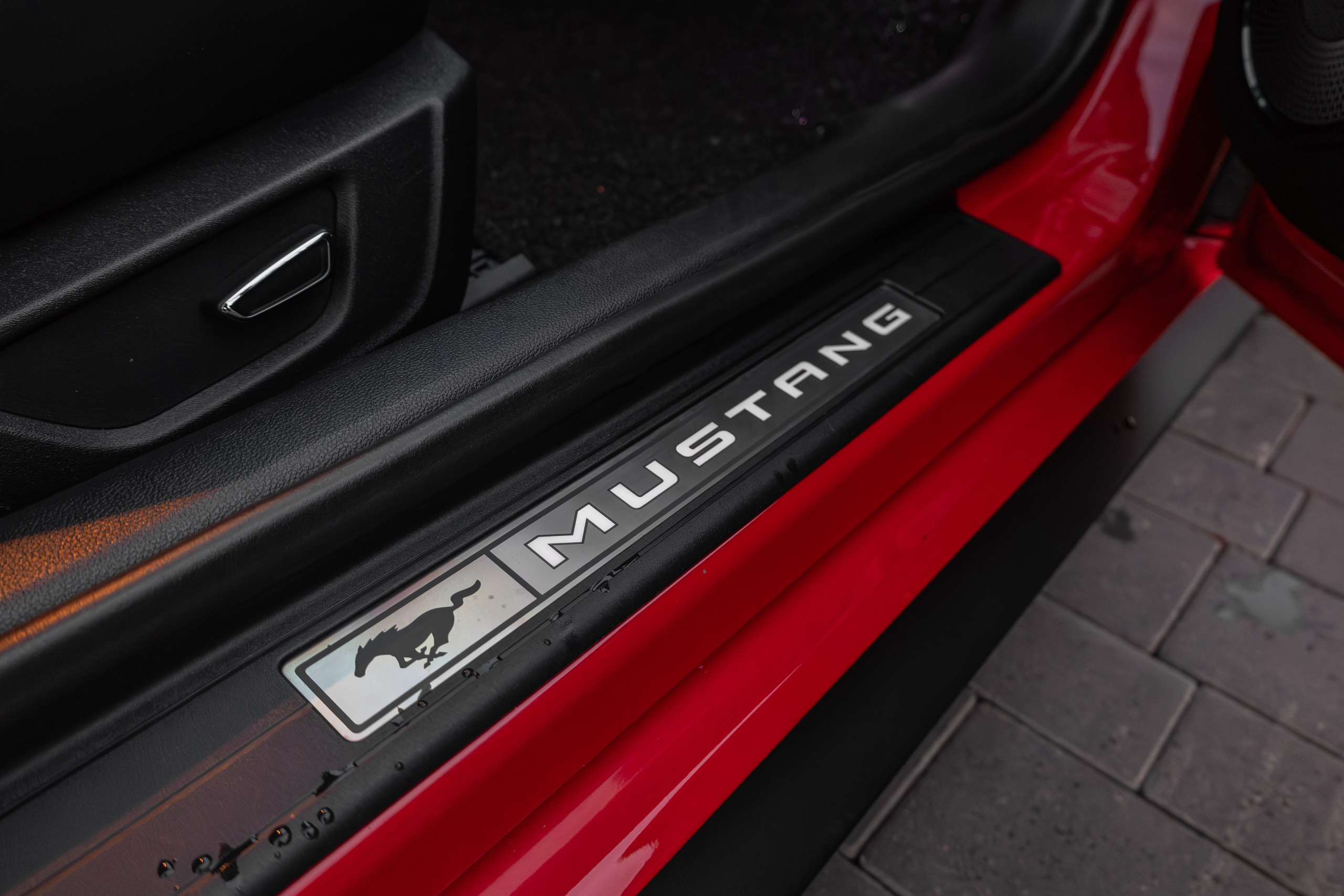 Mustang. Мелехов Дмитрий|Фотограф|Видеограф