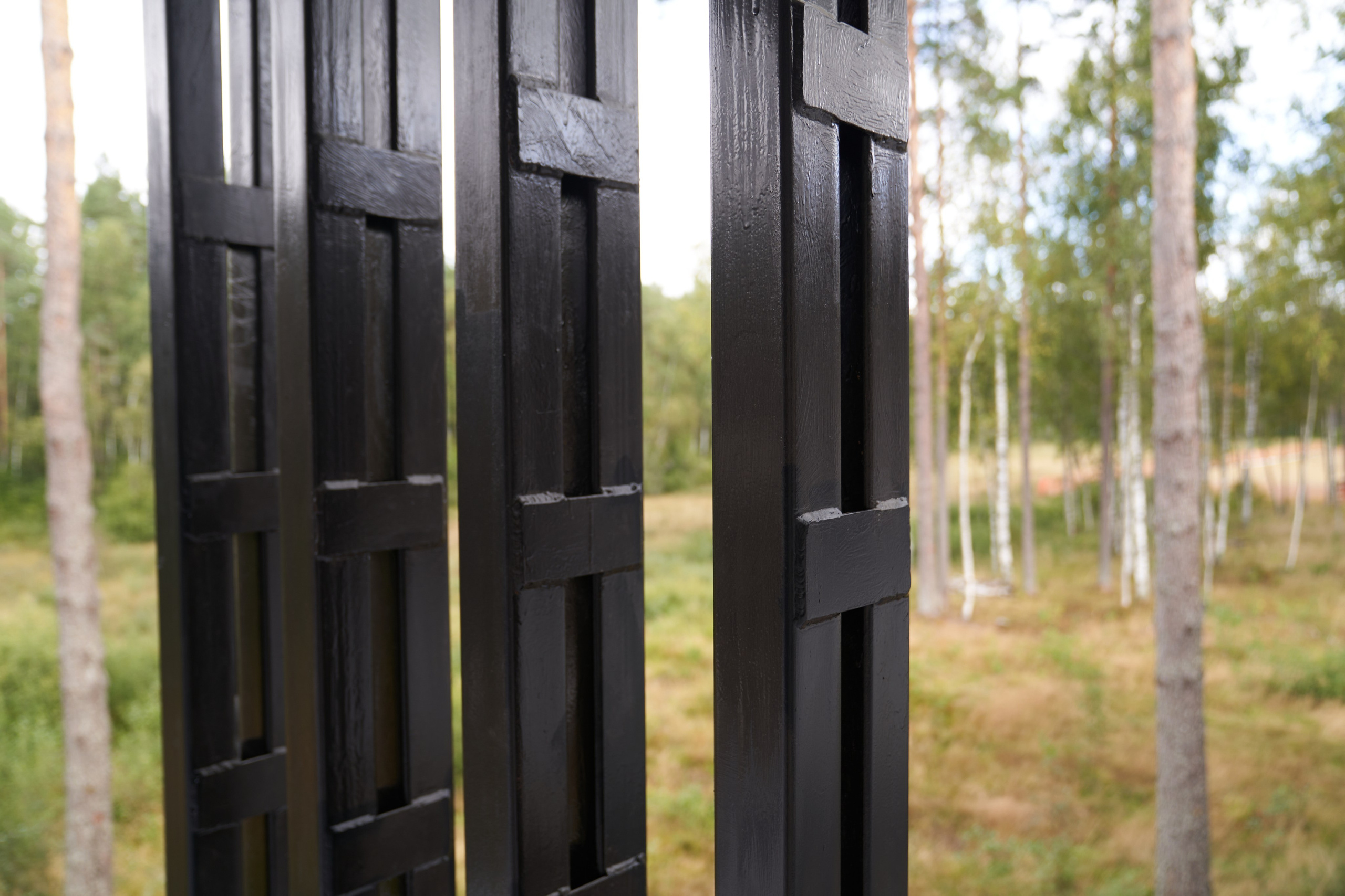 Объект «Репино парк». Сергей Горшенин — профессиональный фотограф