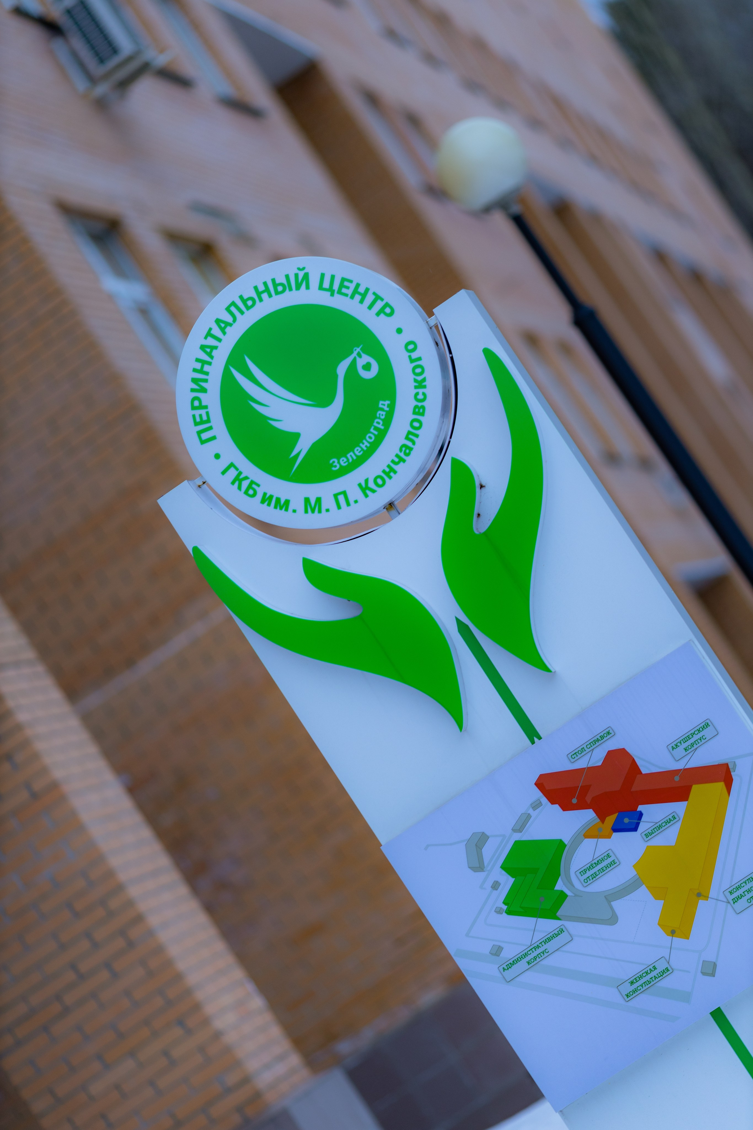 Выписка Павла. Детский и семейный фотограф Евгения Вахнеева Москва Зеленоград