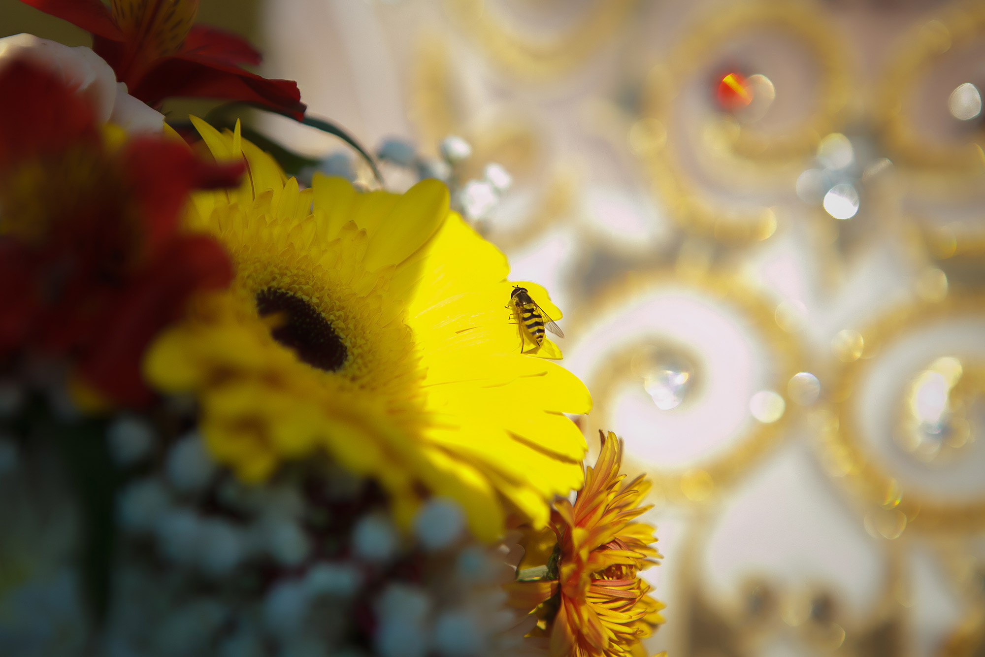 Фотографы Алматы Акуленко Владимир