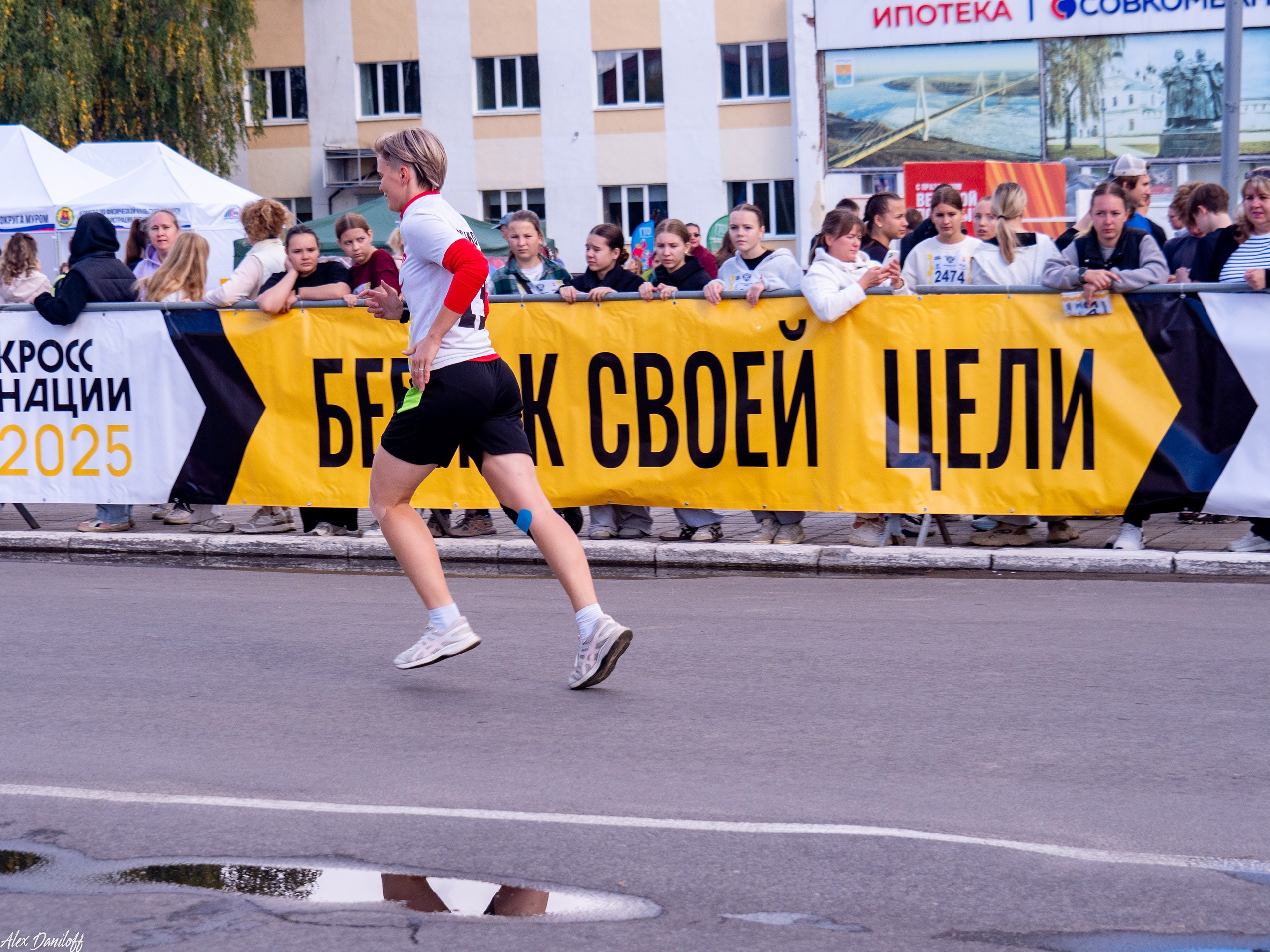 Кросс нации 25. Муром-Инфо. Новости культуры, образования, спорта в городе Муром