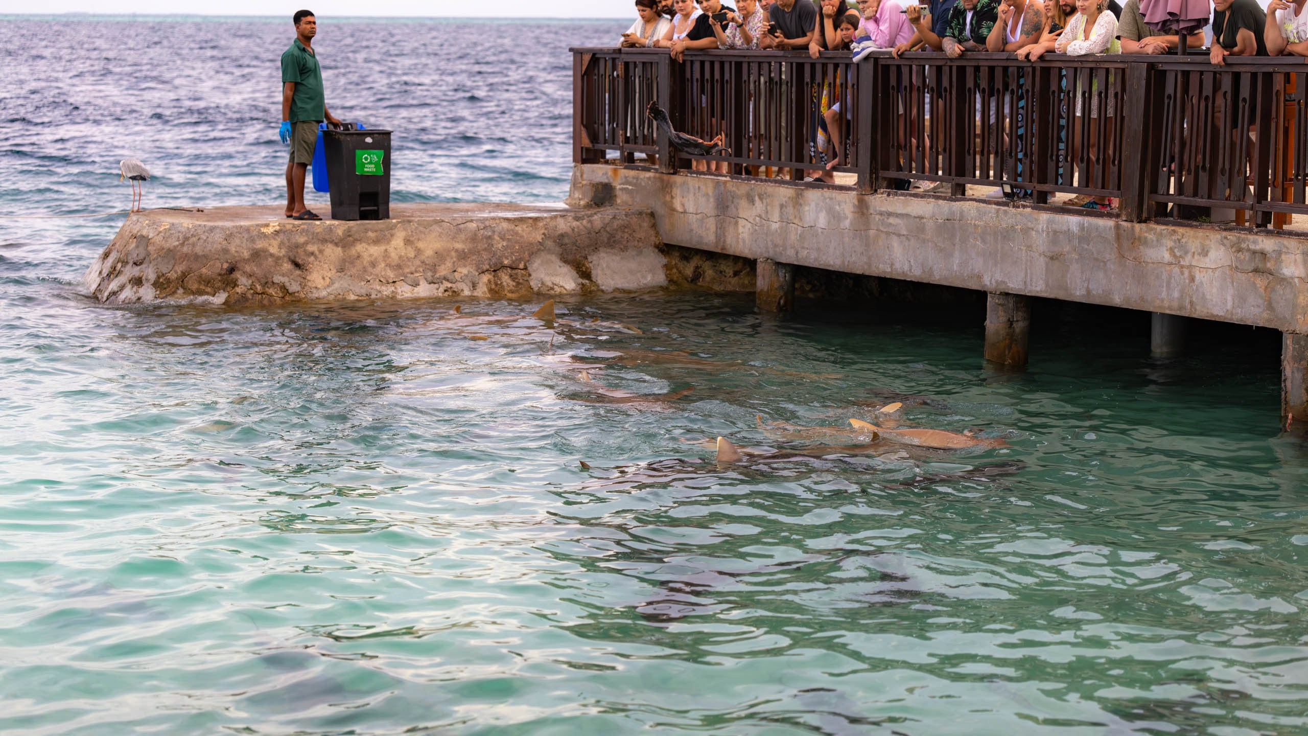 Мальдивы, Ellaidhoo Maldives by Cinnamon