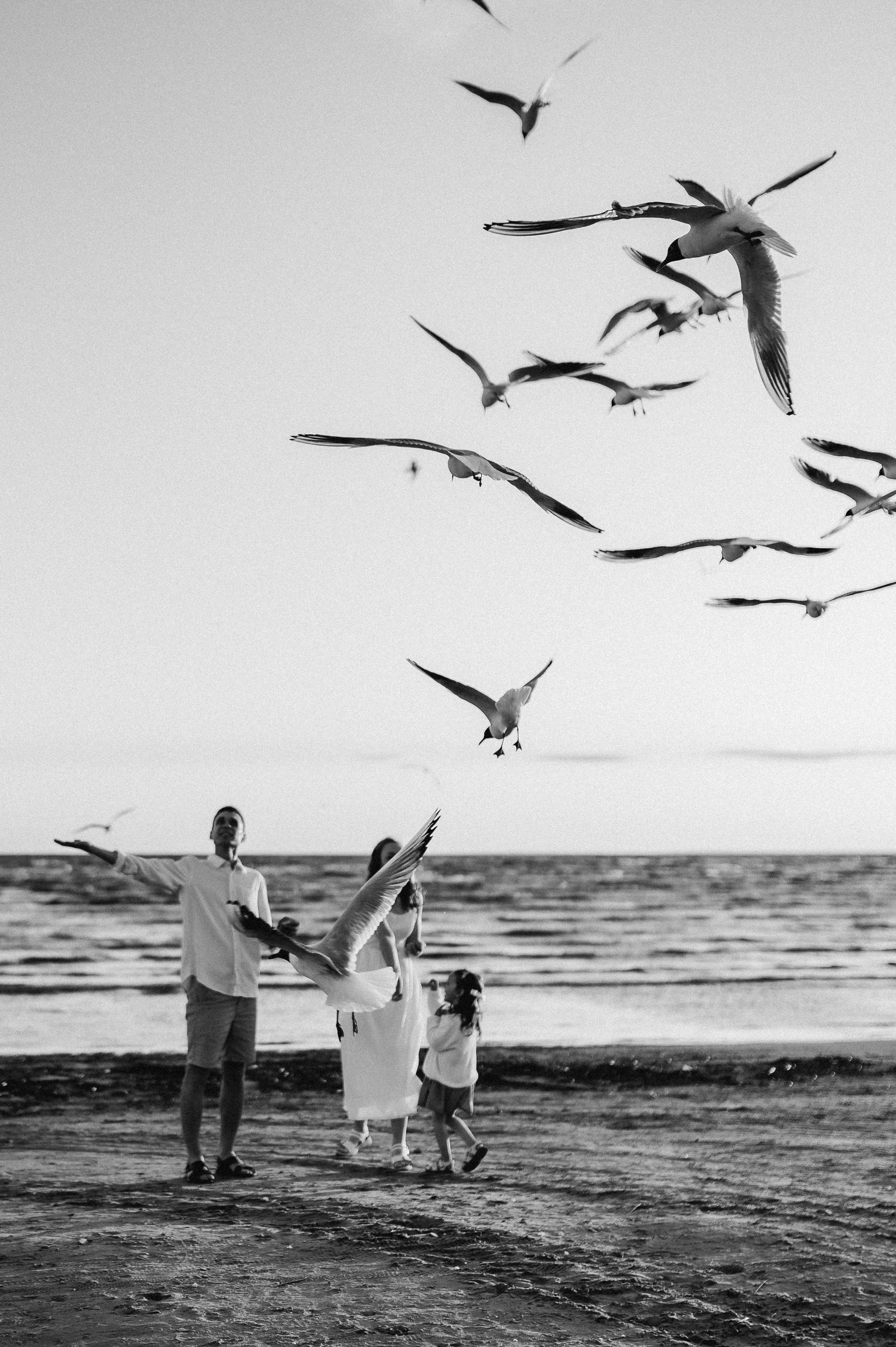 Семейная на заливе. Фотограф ПИТЕР СПБ Надежда Баранова