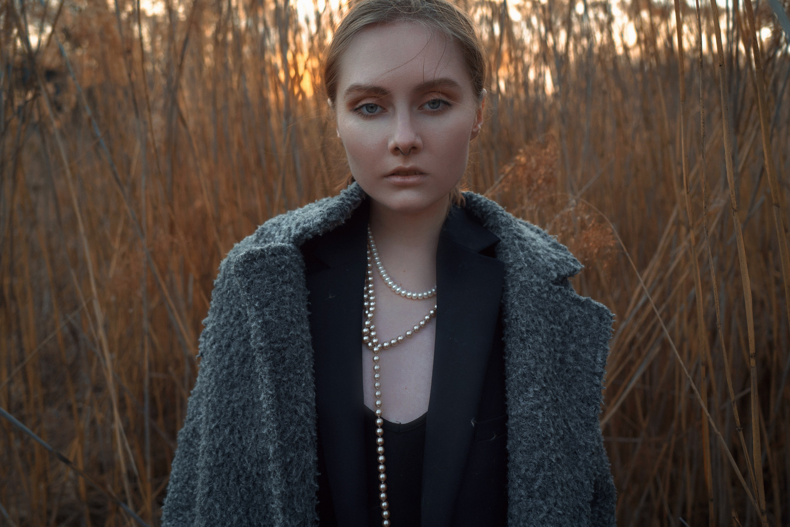 PHRAGMITES AUSTRALIS. Sergey,kuzichev