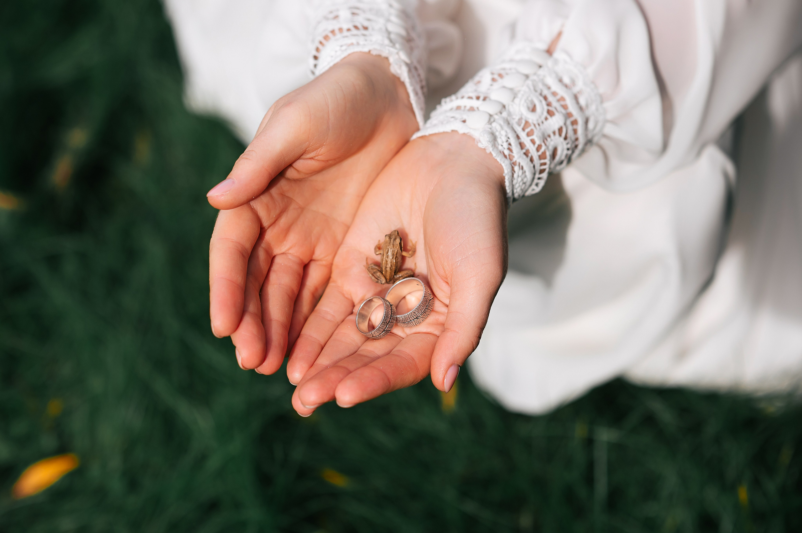 Свадебный фотограф Новосибирск