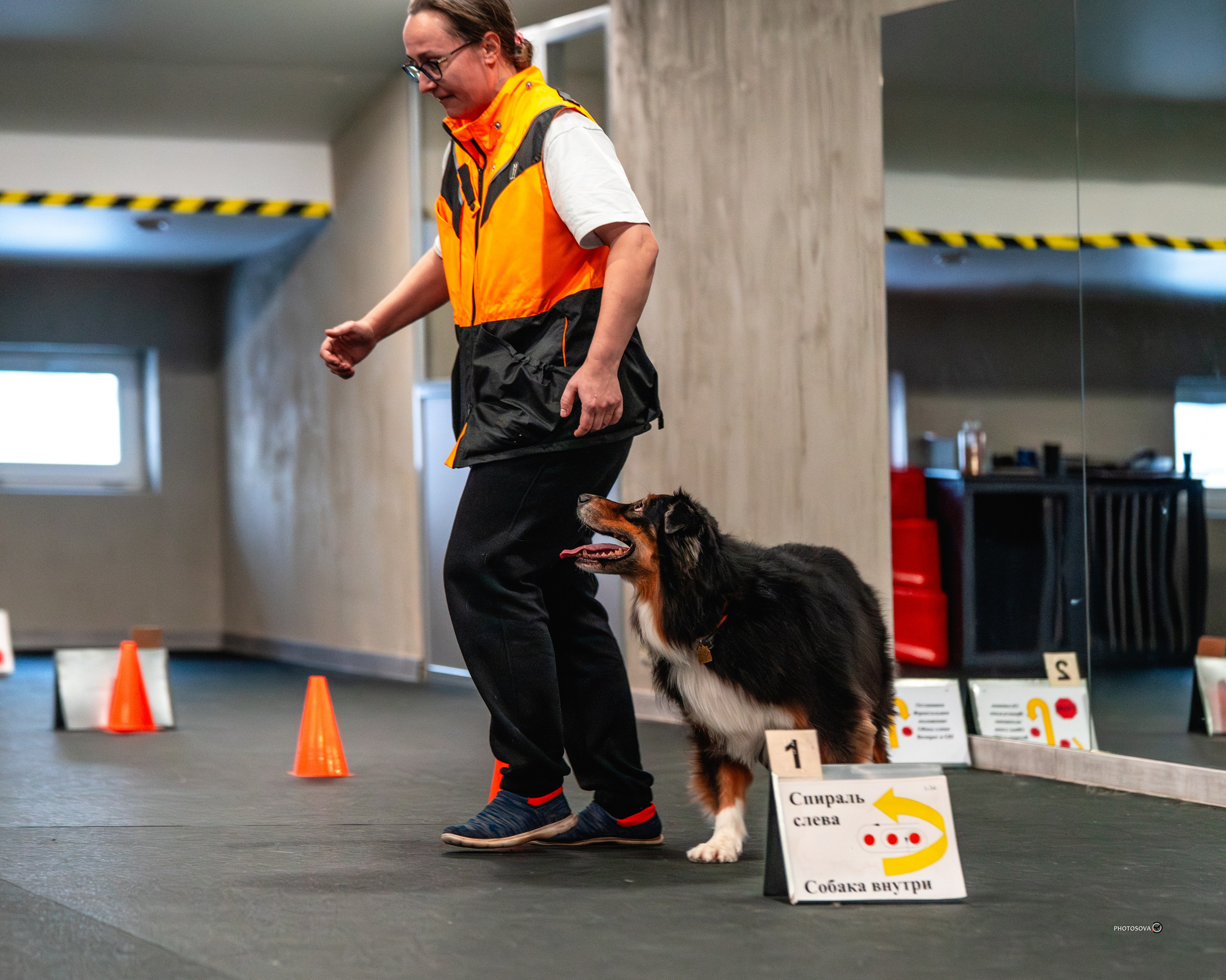 ТЫ И Я (соревнования по ралли-обидиенс). Фотограф-анималист, семейный фотограф в Москве и Подмосковье. Фотосъёмка кинологических дисциплин