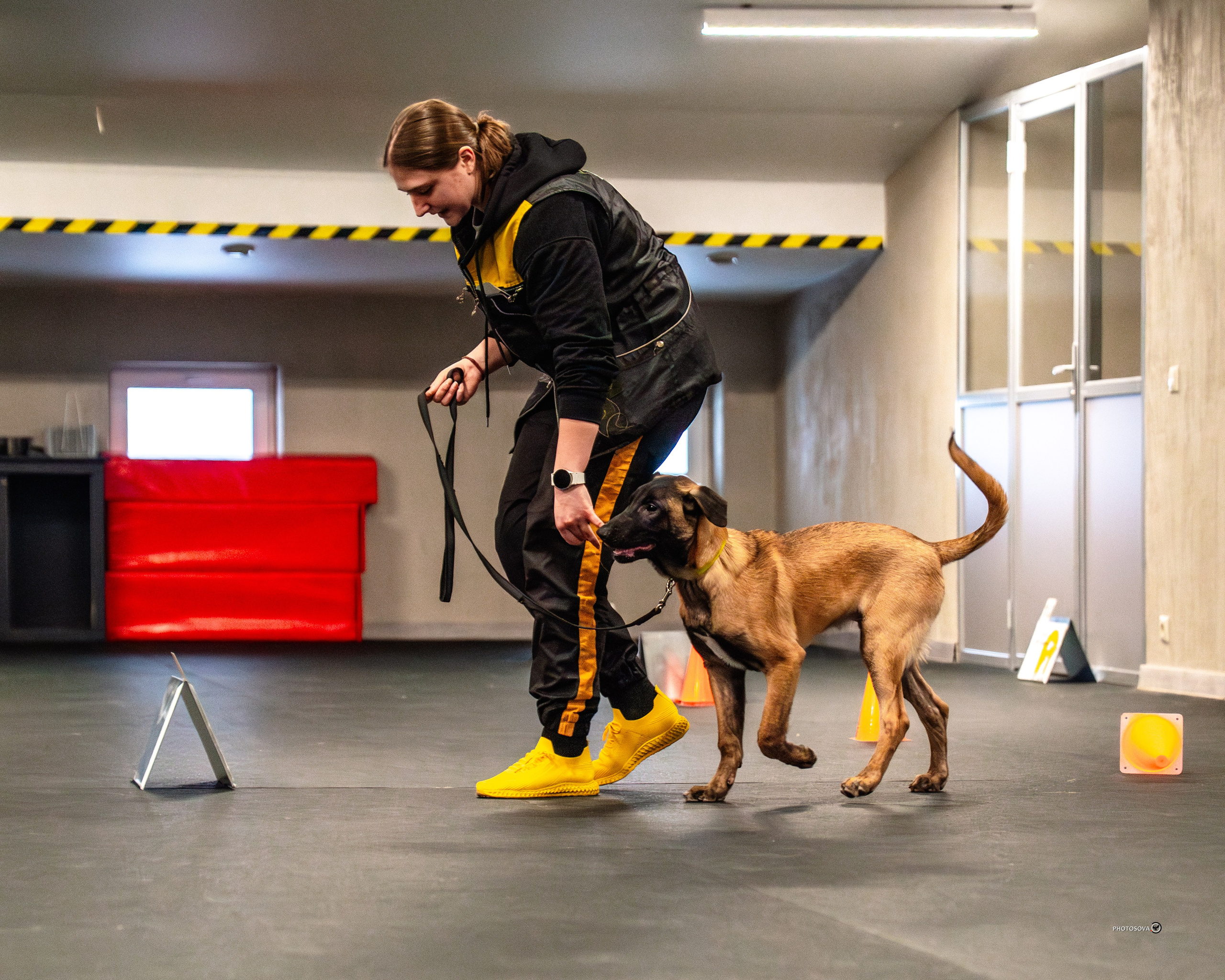 ТЫ И Я (соревнования по ралли-обидиенс). Фотограф-анималист, семейный фотограф в Москве и Подмосковье. Фотосъёмка кинологических дисциплин