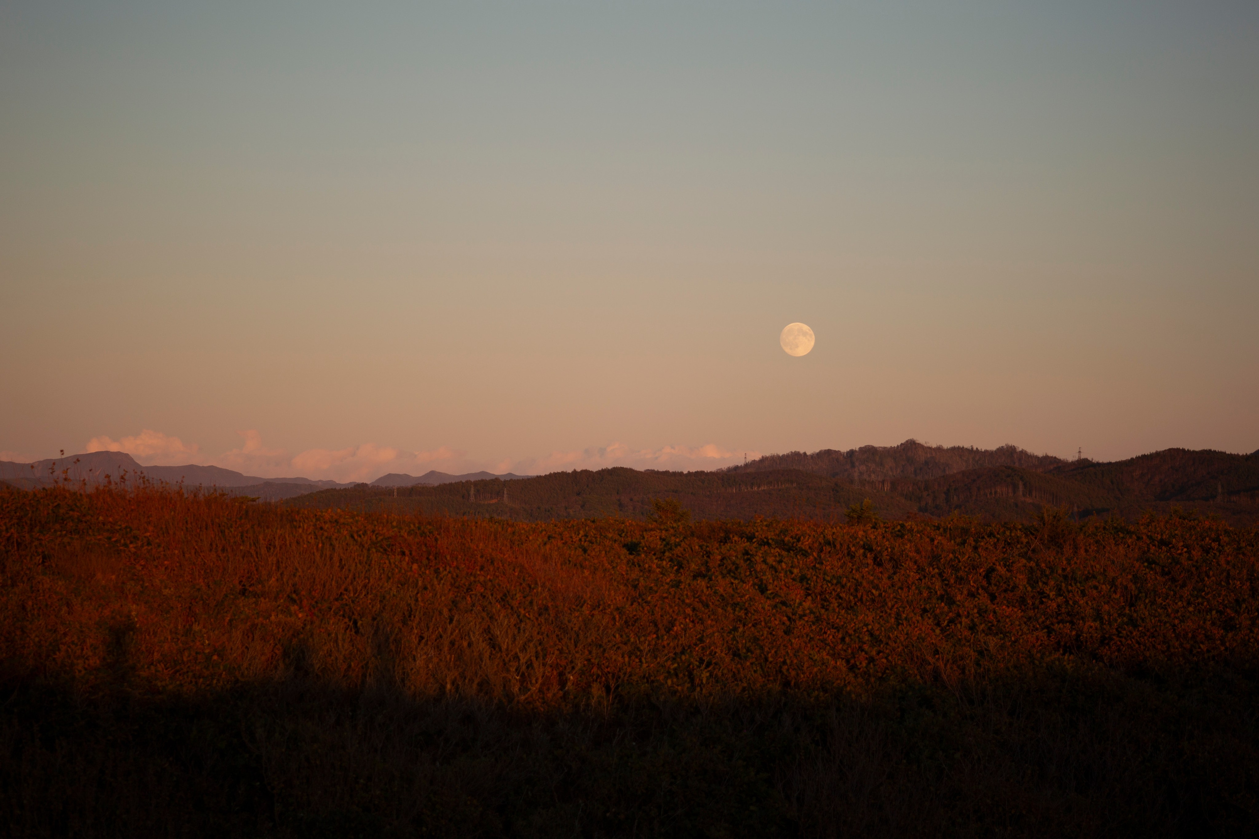 Первый день на Сахалине. Фотограф Даша Омельченко