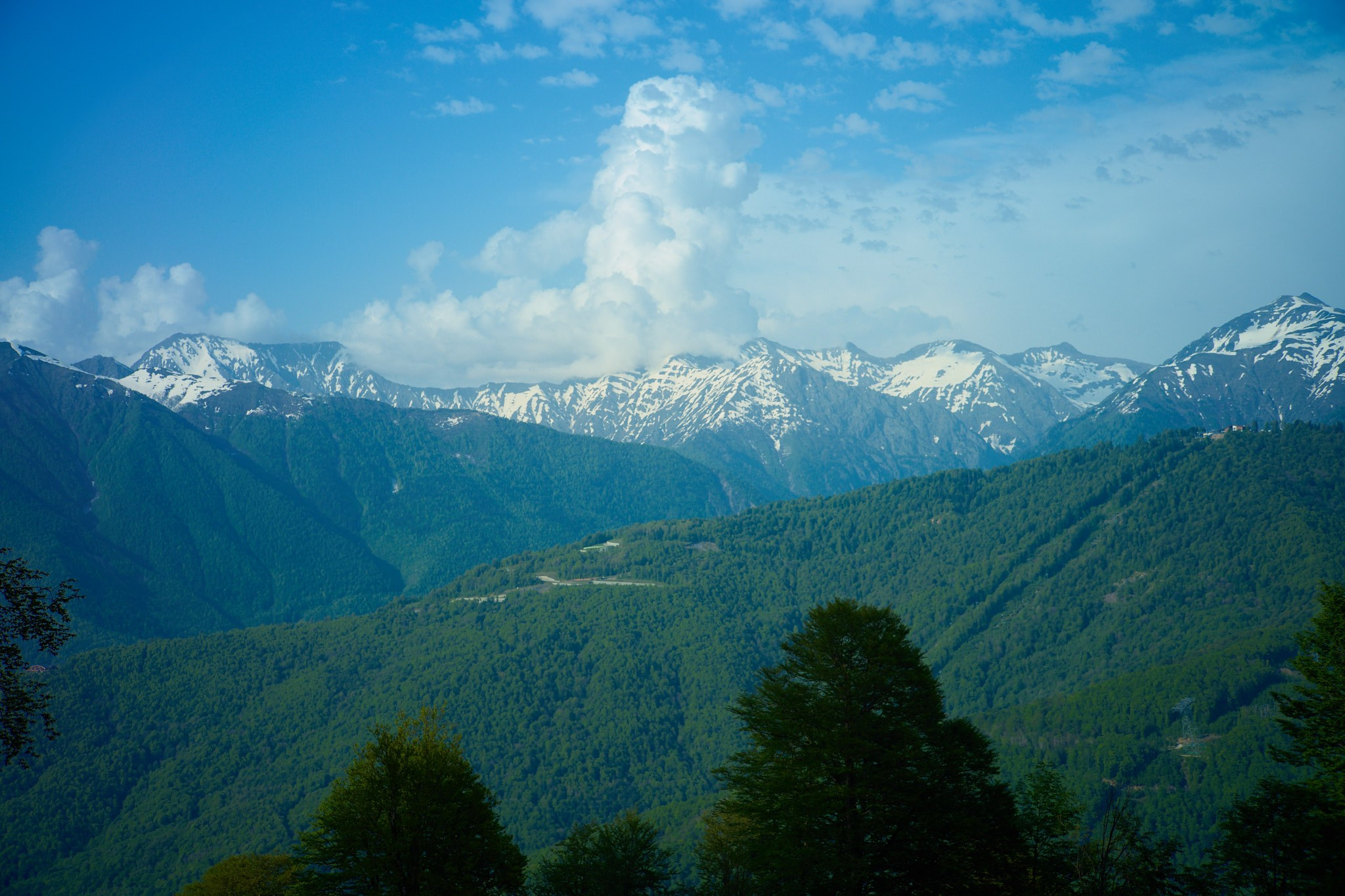 Красная Поляна, апрель 2024. Фотограф, Римма Невинская