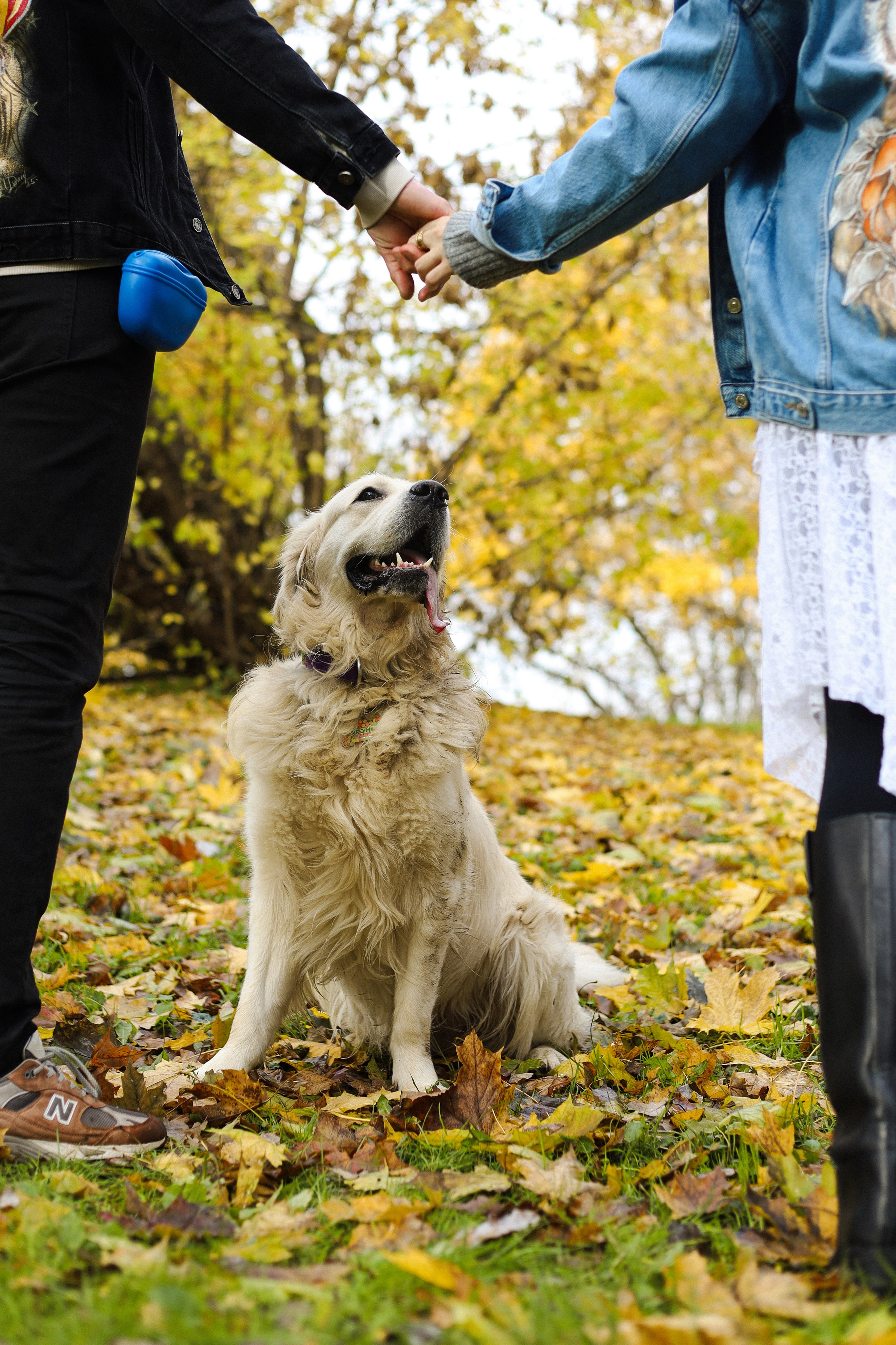 Фрэнк, Даша и Максим. Фотограф-анималист Ксения Шевцова|Москва