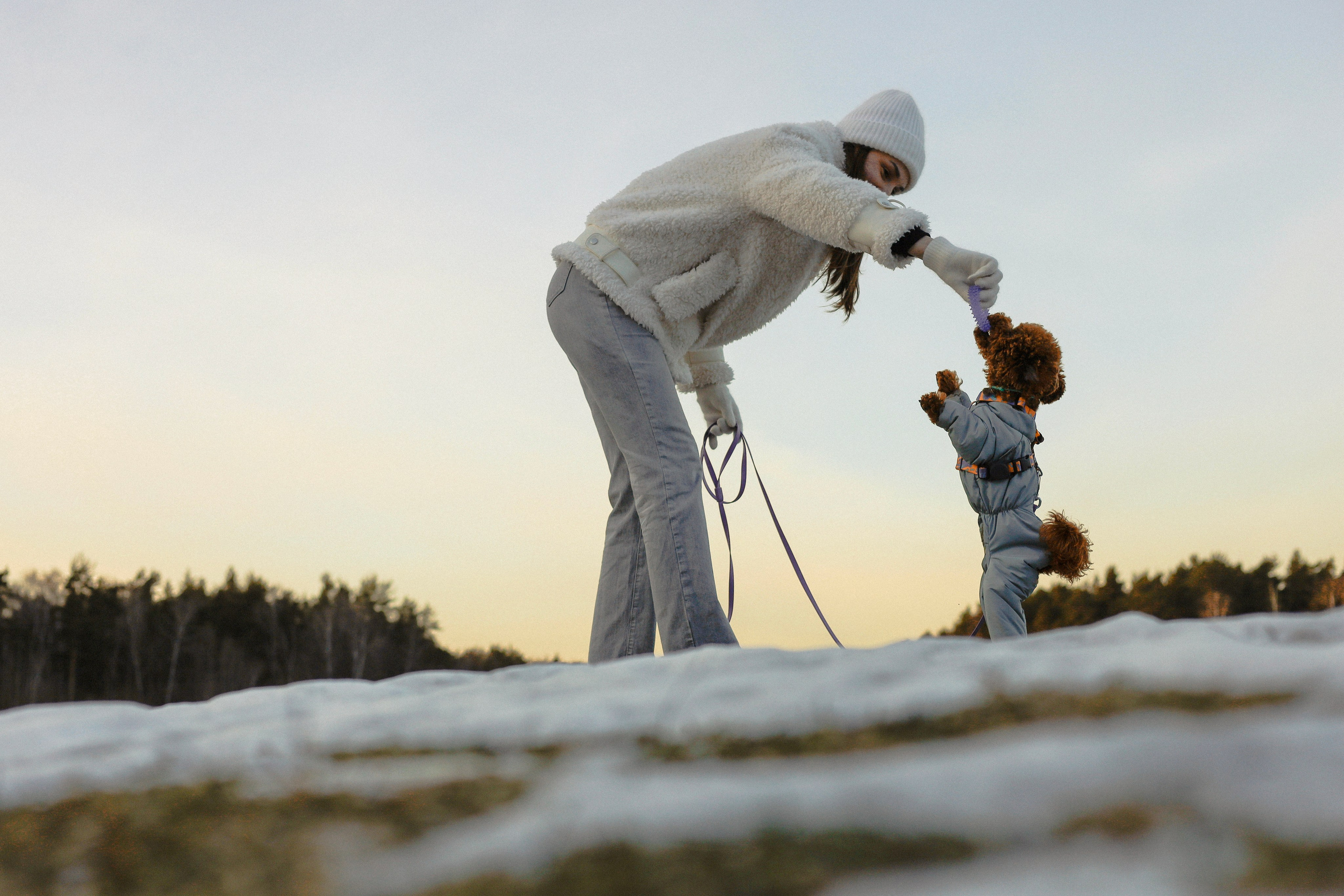 Филипп и Настя. Фотограф-анималист Ксения Шевцова|Москва