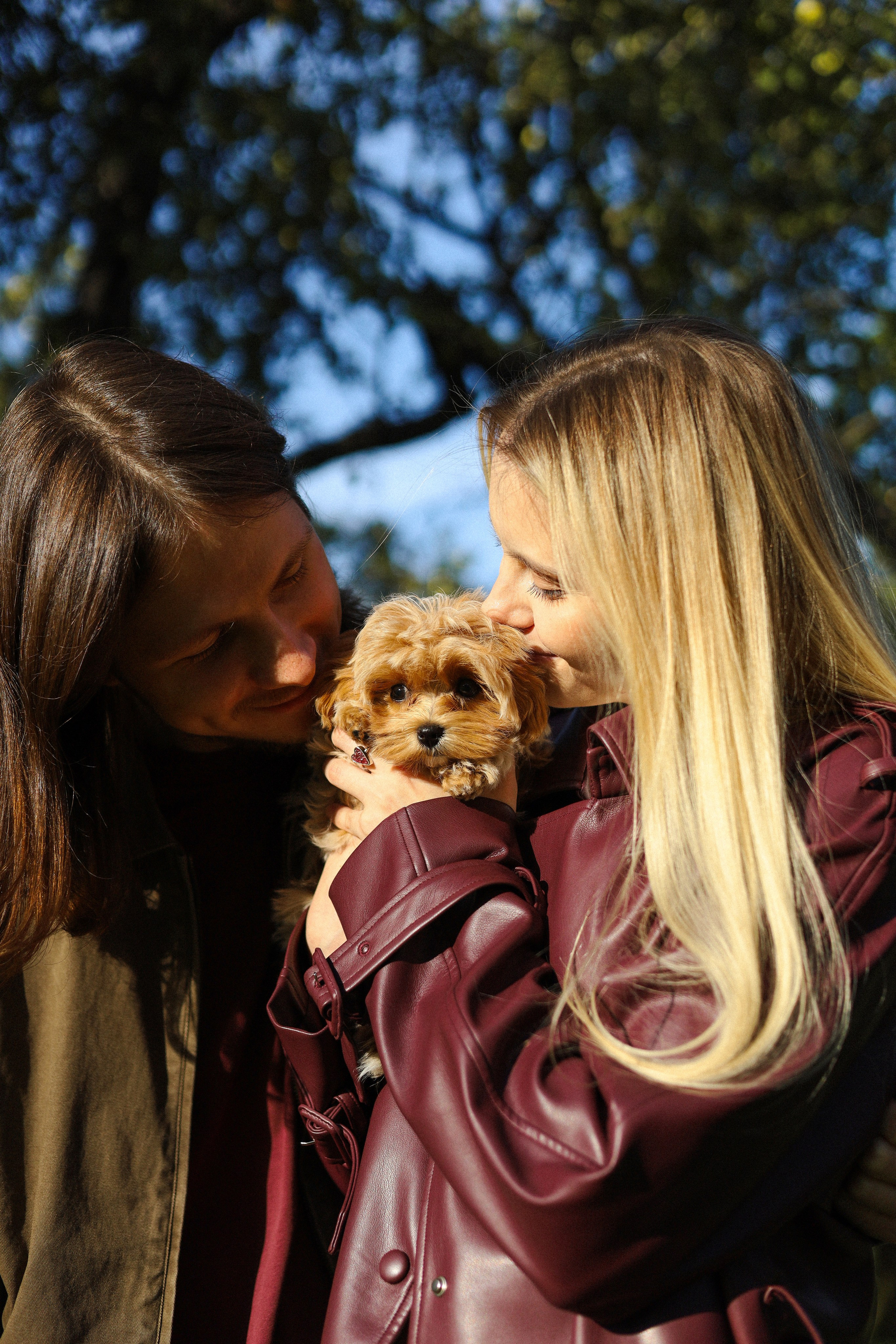 Лили, Роман и Анастасия. Фотограф-анималист Ксения Шевцова|Москва