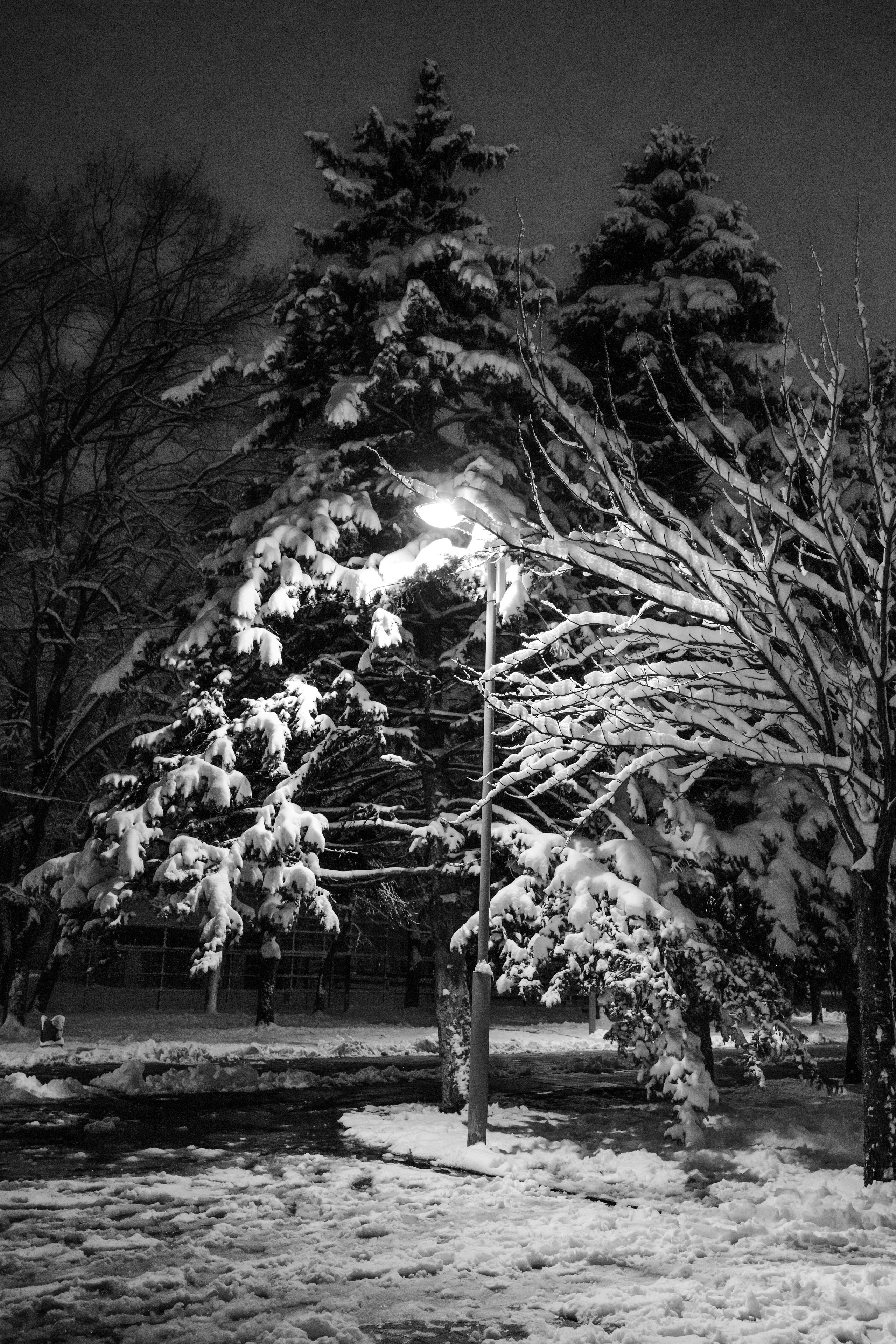 Краснодарский стрит